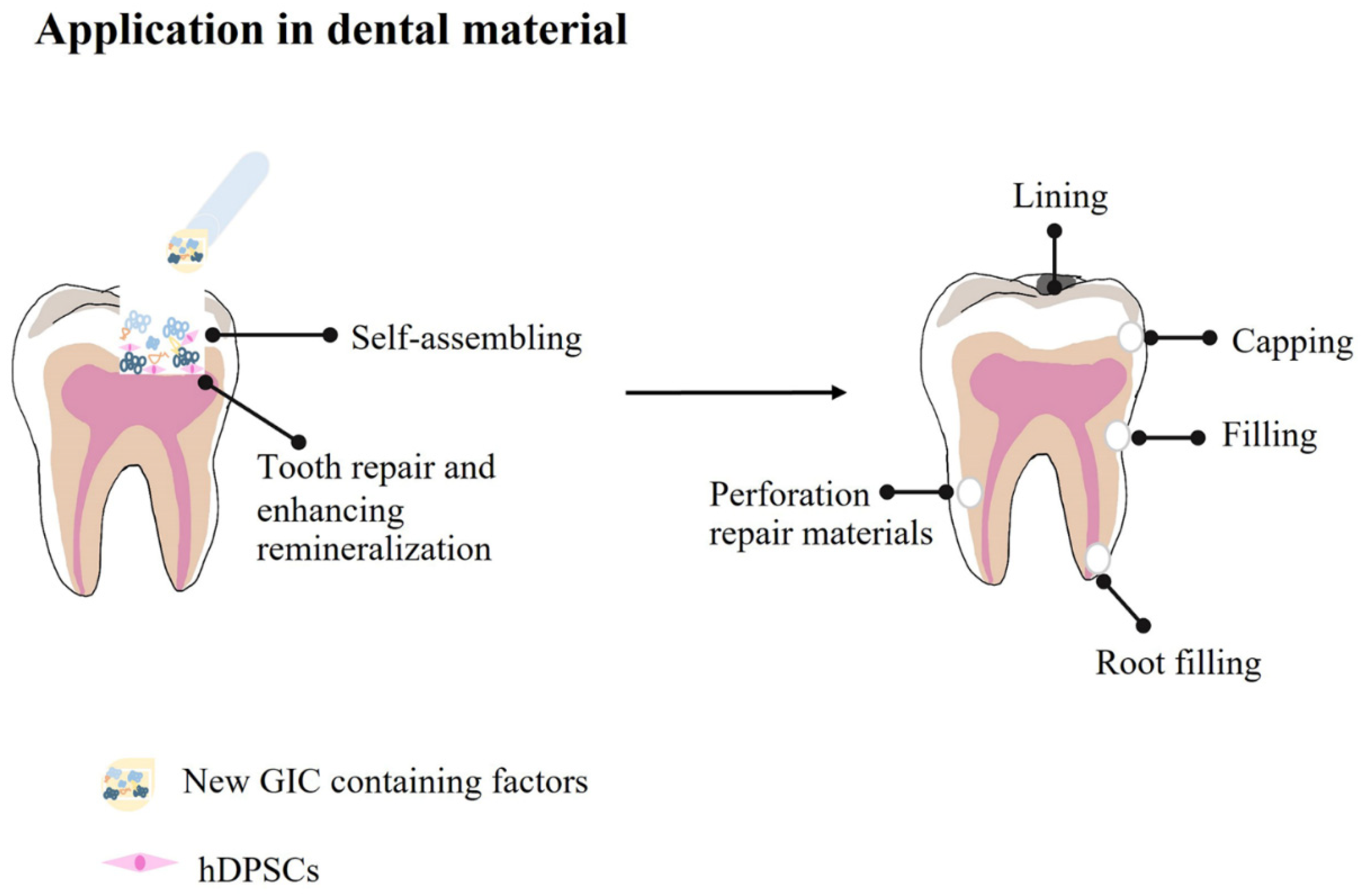Polymers 14 03341 g001