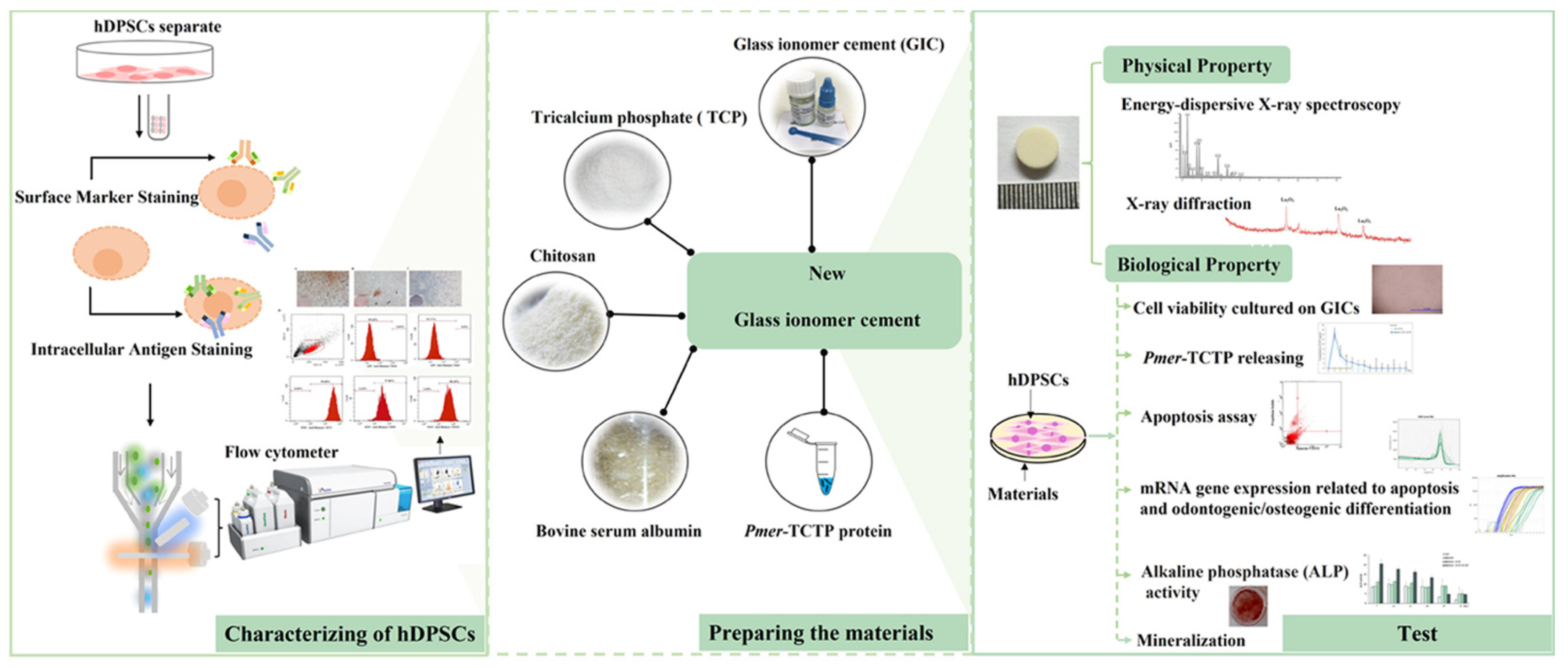 Polymers 14 03341 g002