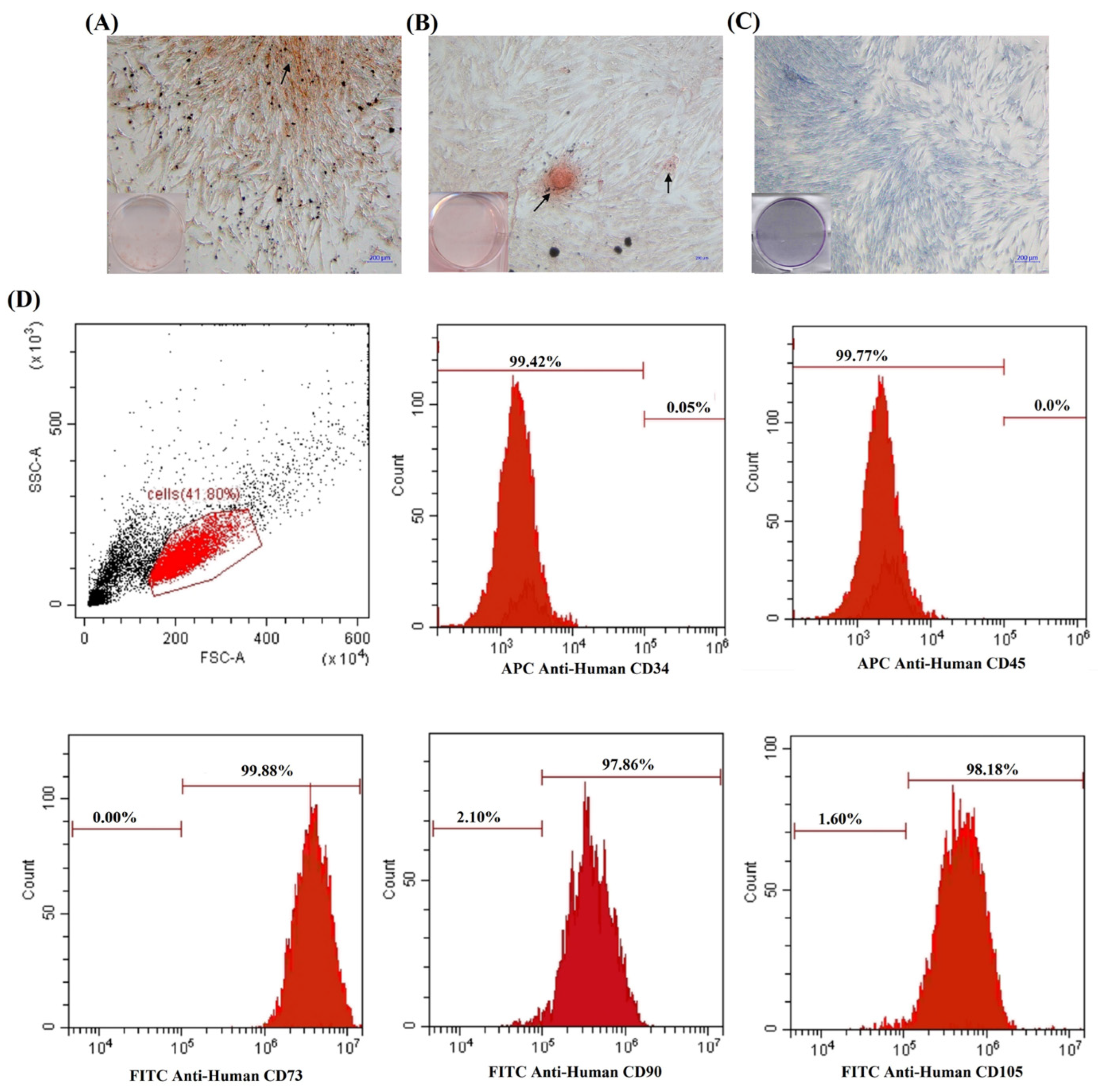Polymers 14 03341 g003