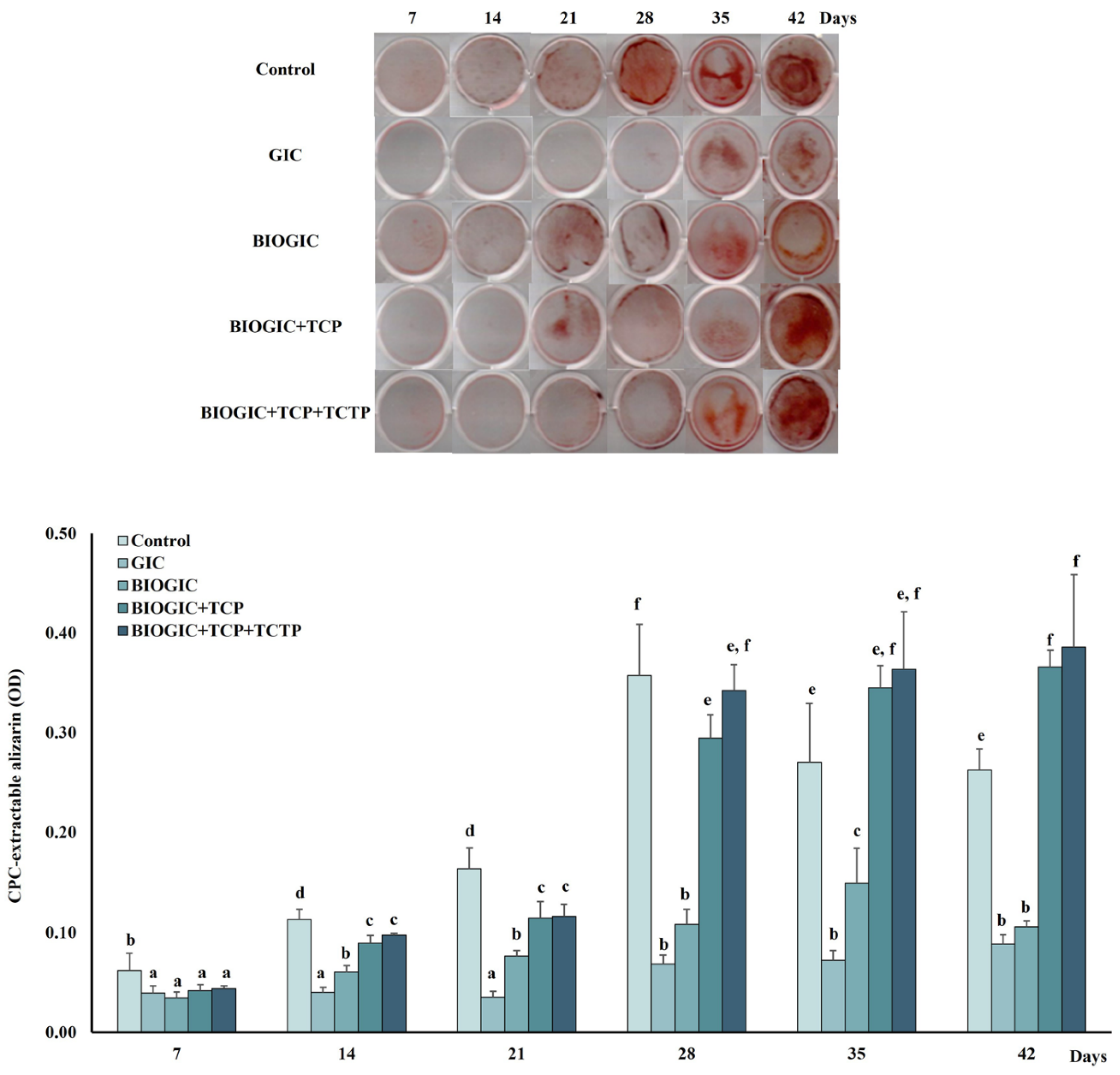 Polymers 14 03341 g010