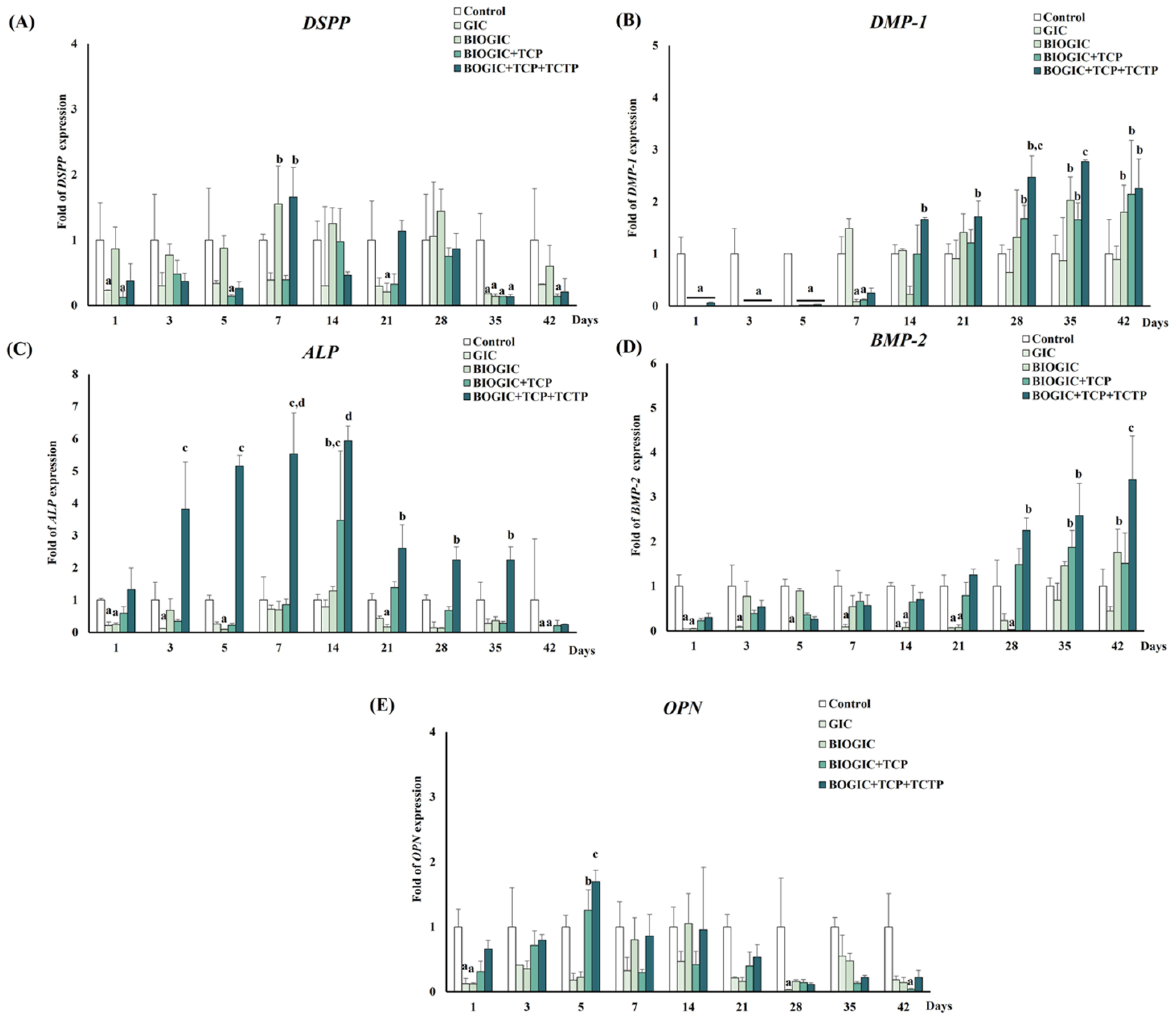 Polymers 14 03341 g012