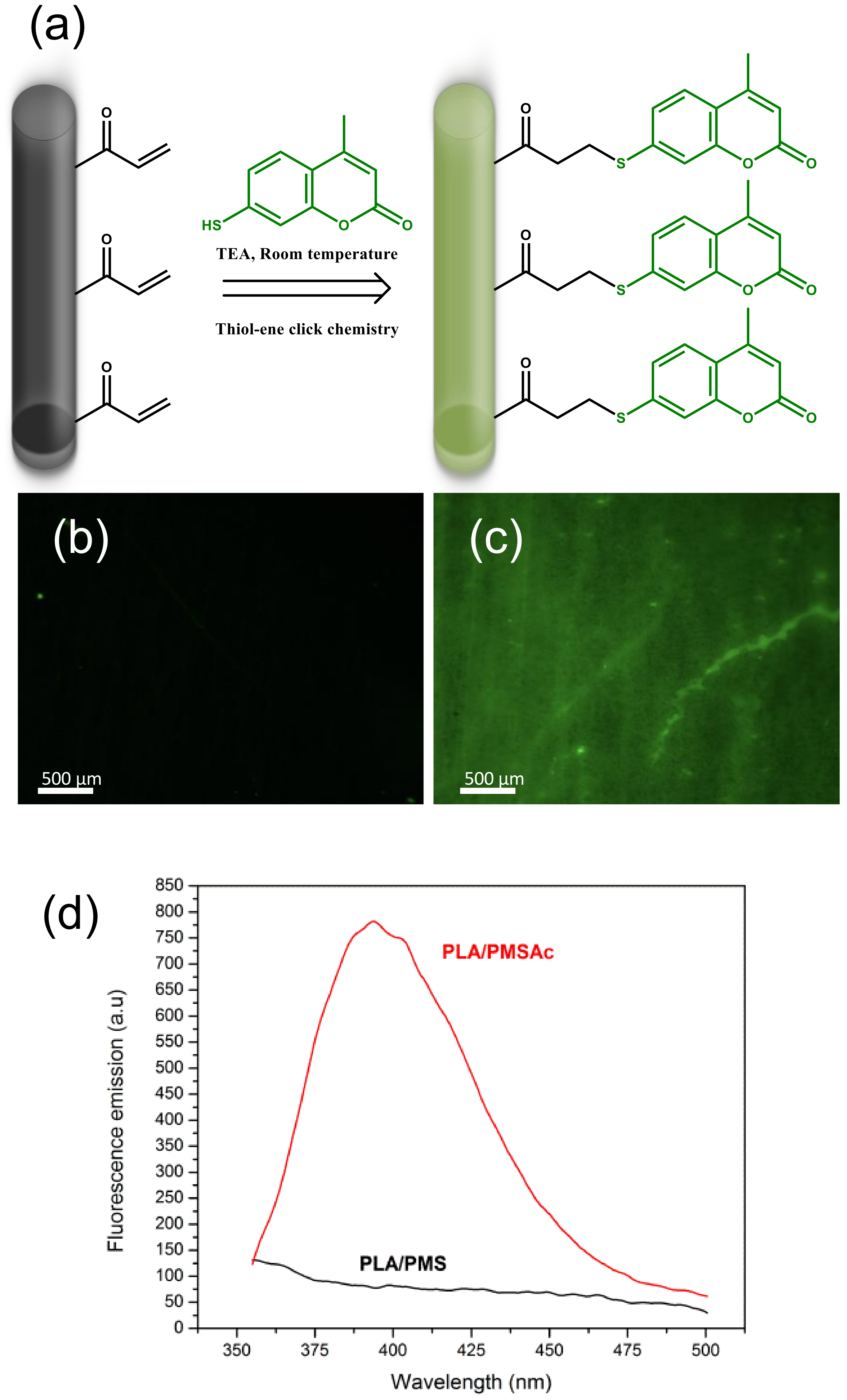 Polymers 14 03342 g008