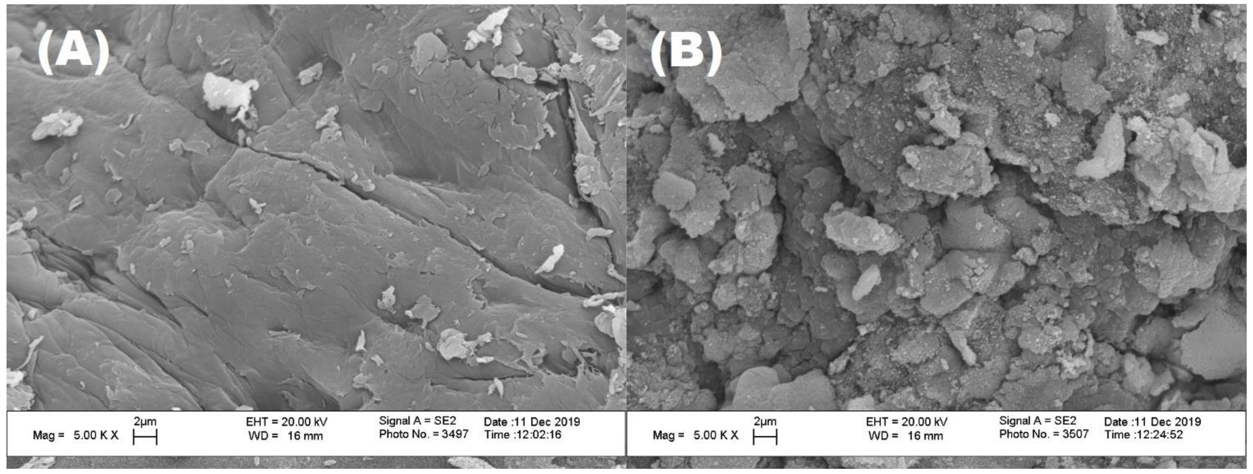Polymers 14 03347 g004 Polymers 14 03347 g004