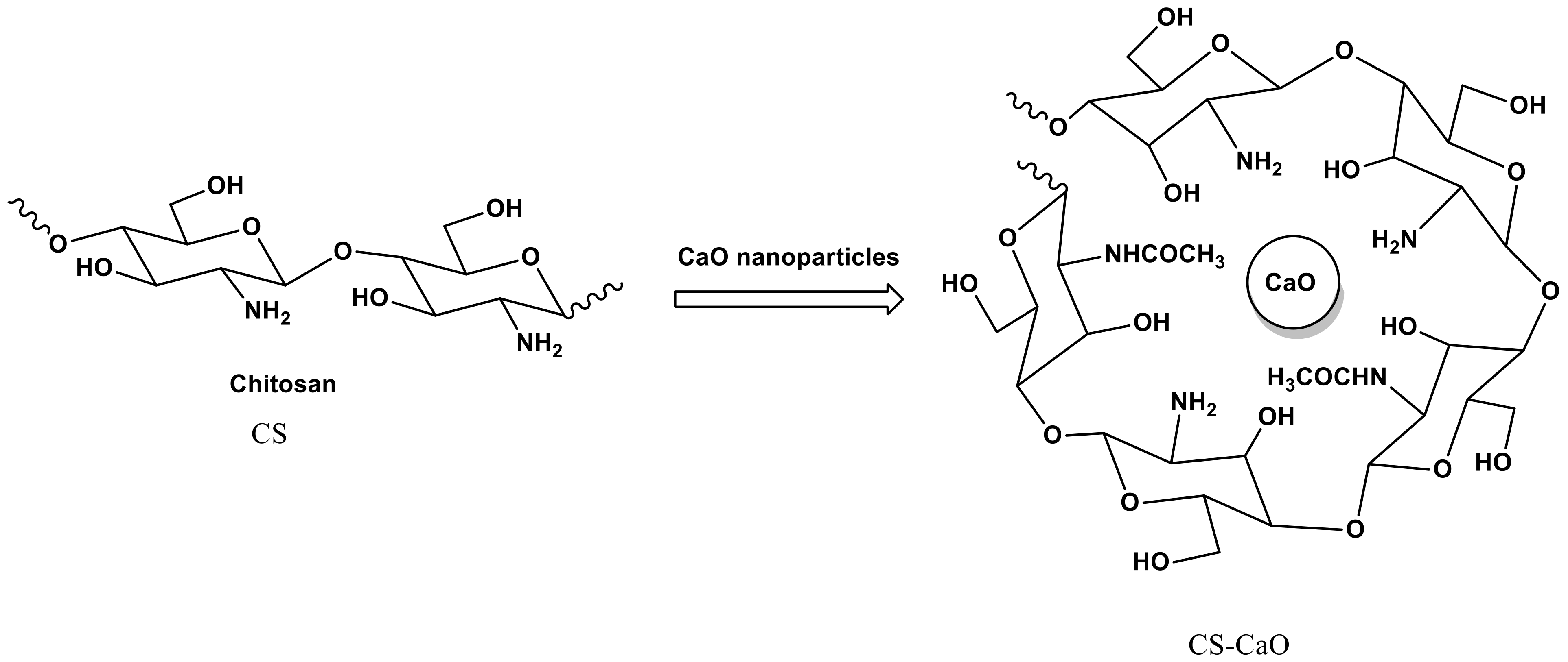 Polymers 14 03347 sch001 Polymers 14 03347 sch001