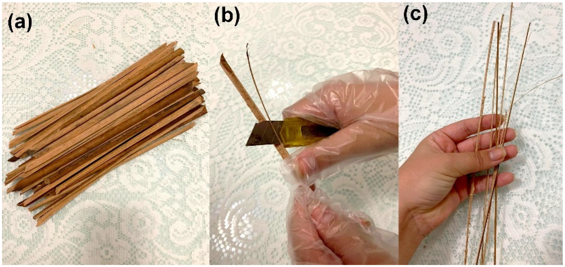 Polymers 14 03348 g001