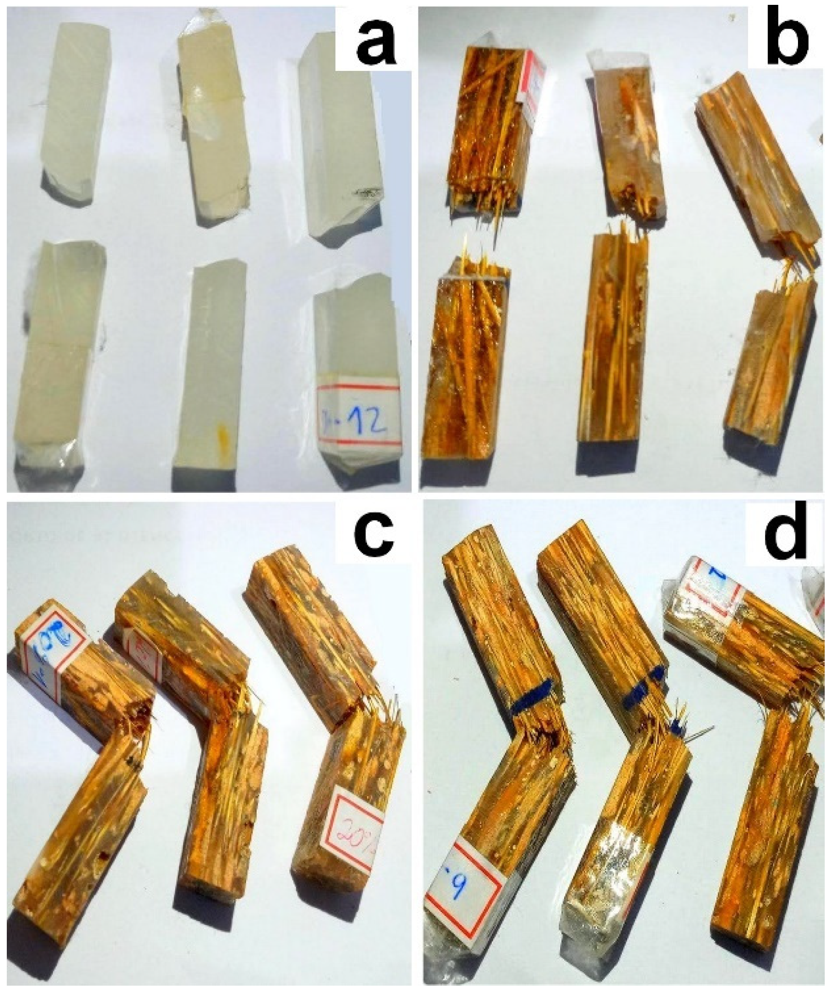 Polymers 14 03348 g003