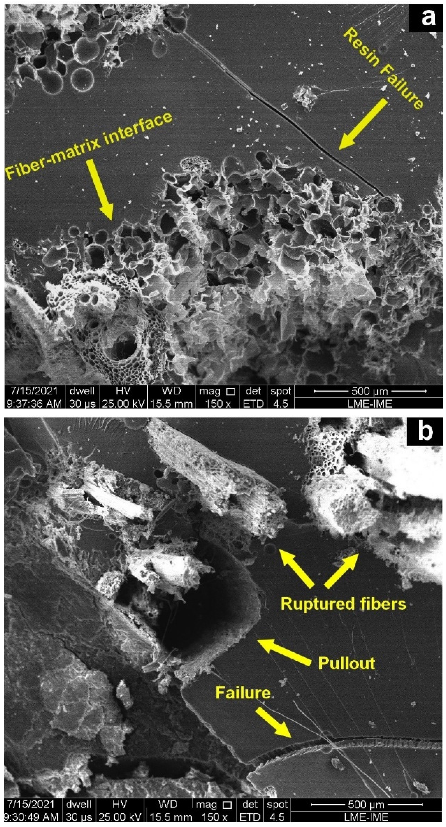 Polymers 14 03348 g005
