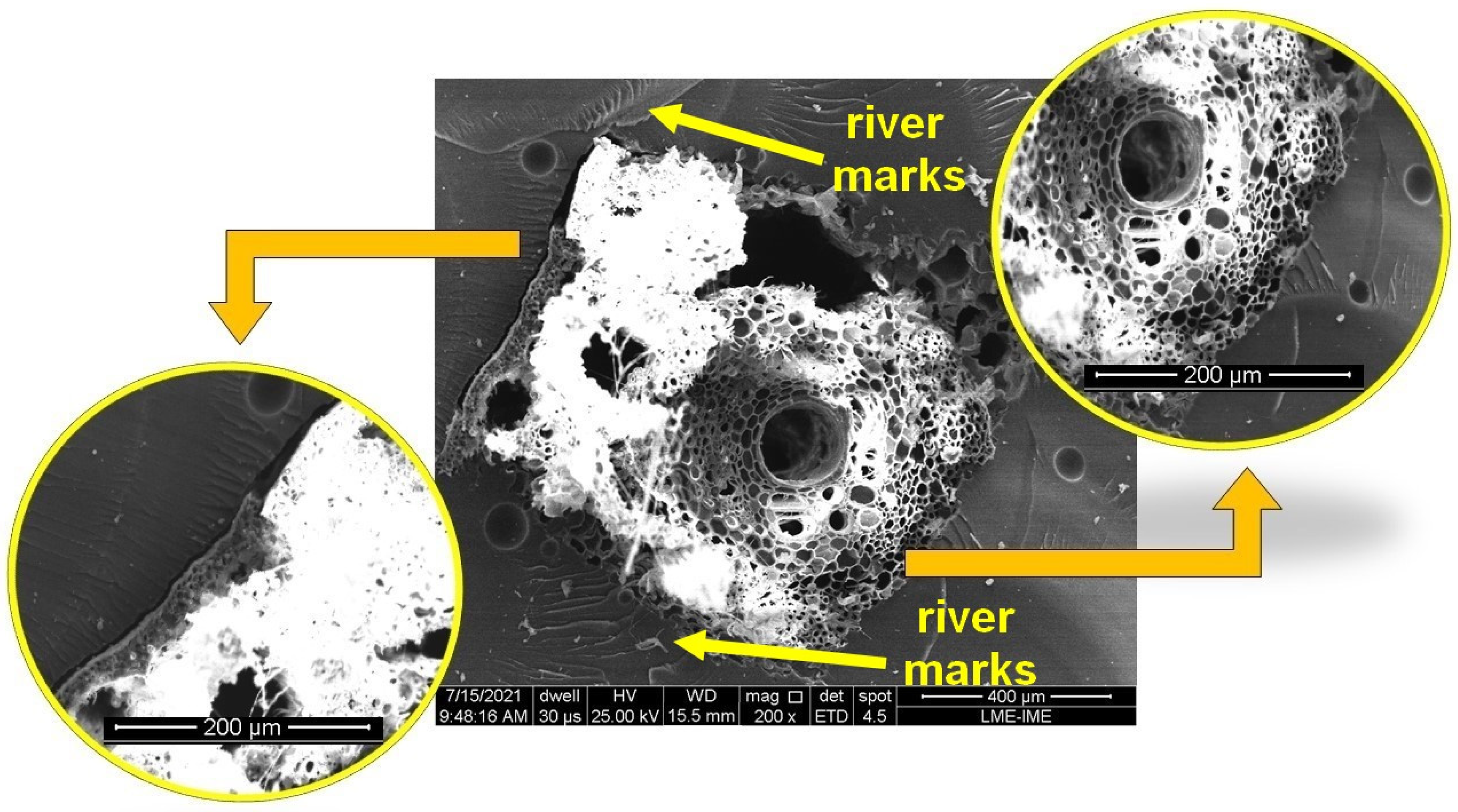 Polymers 14 03348 g006