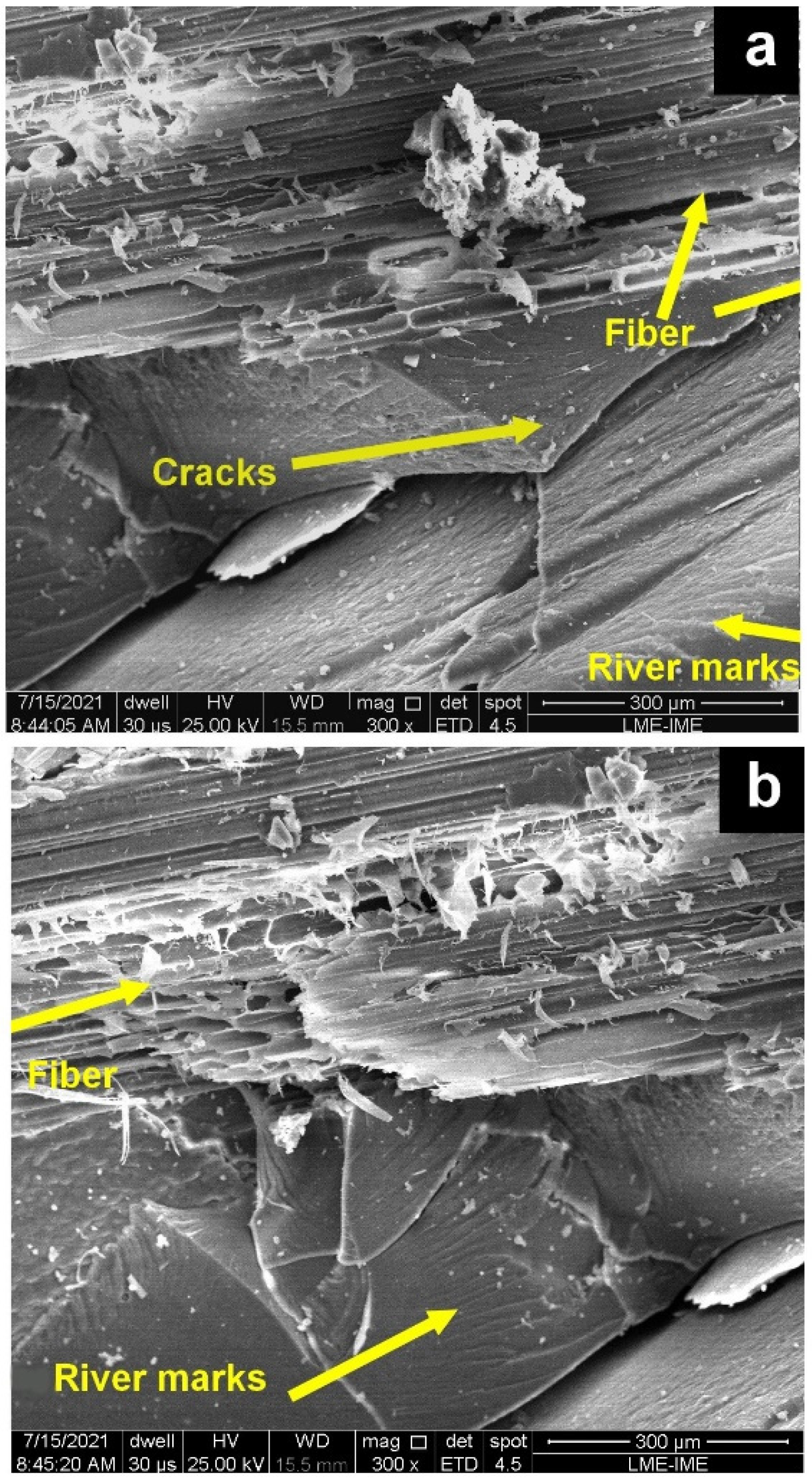 Polymers 14 03348 g008