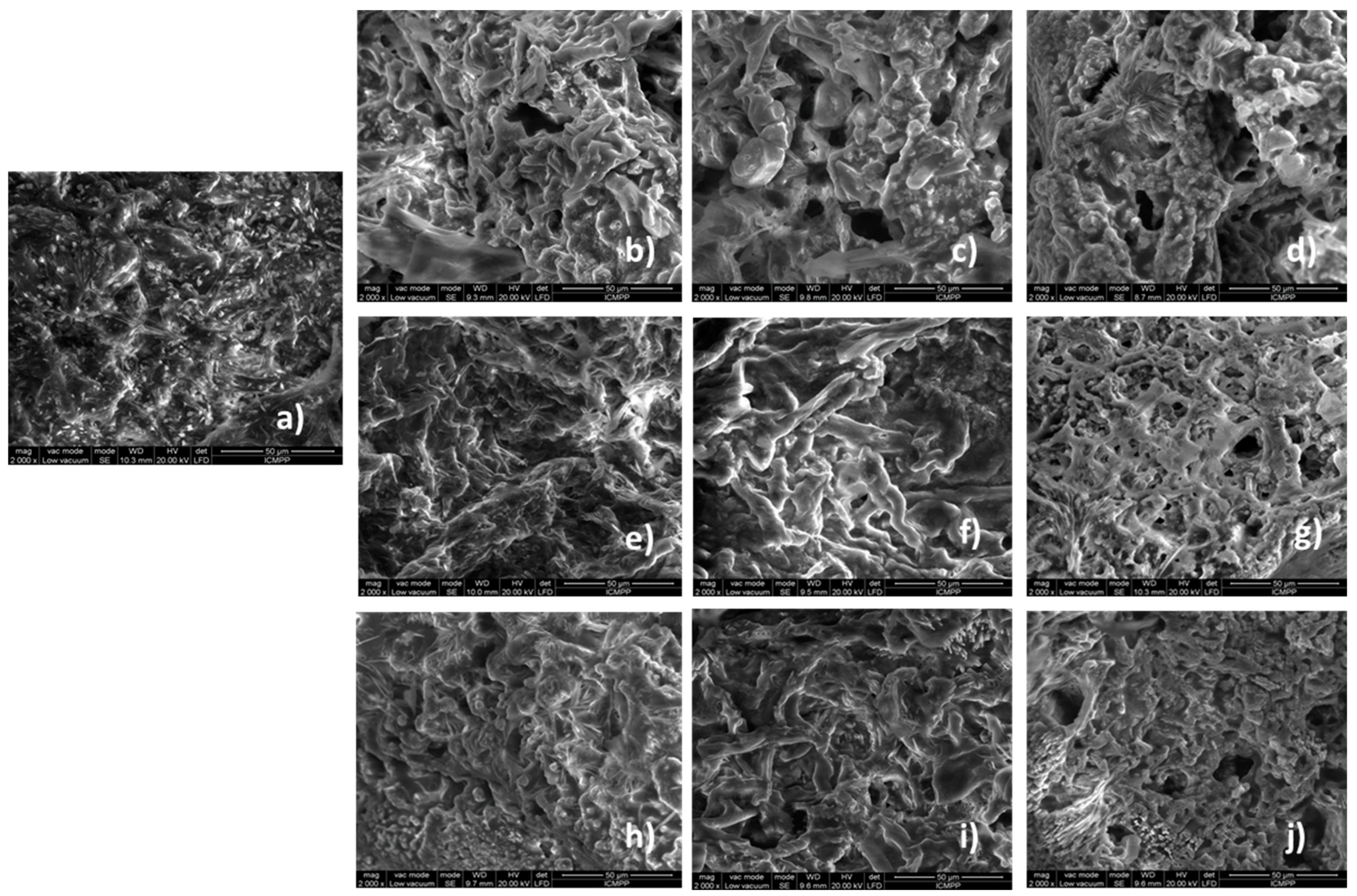 Polymers 14 03354 g005