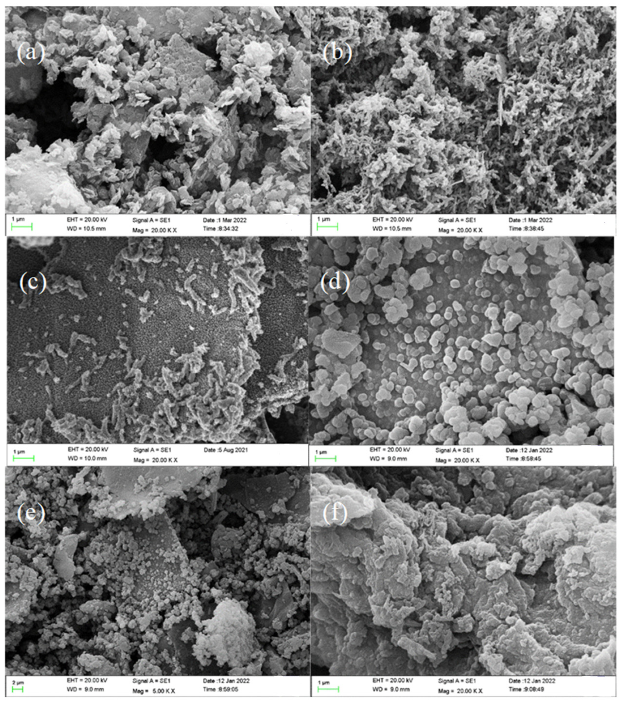 Polymers 14 03355 g003