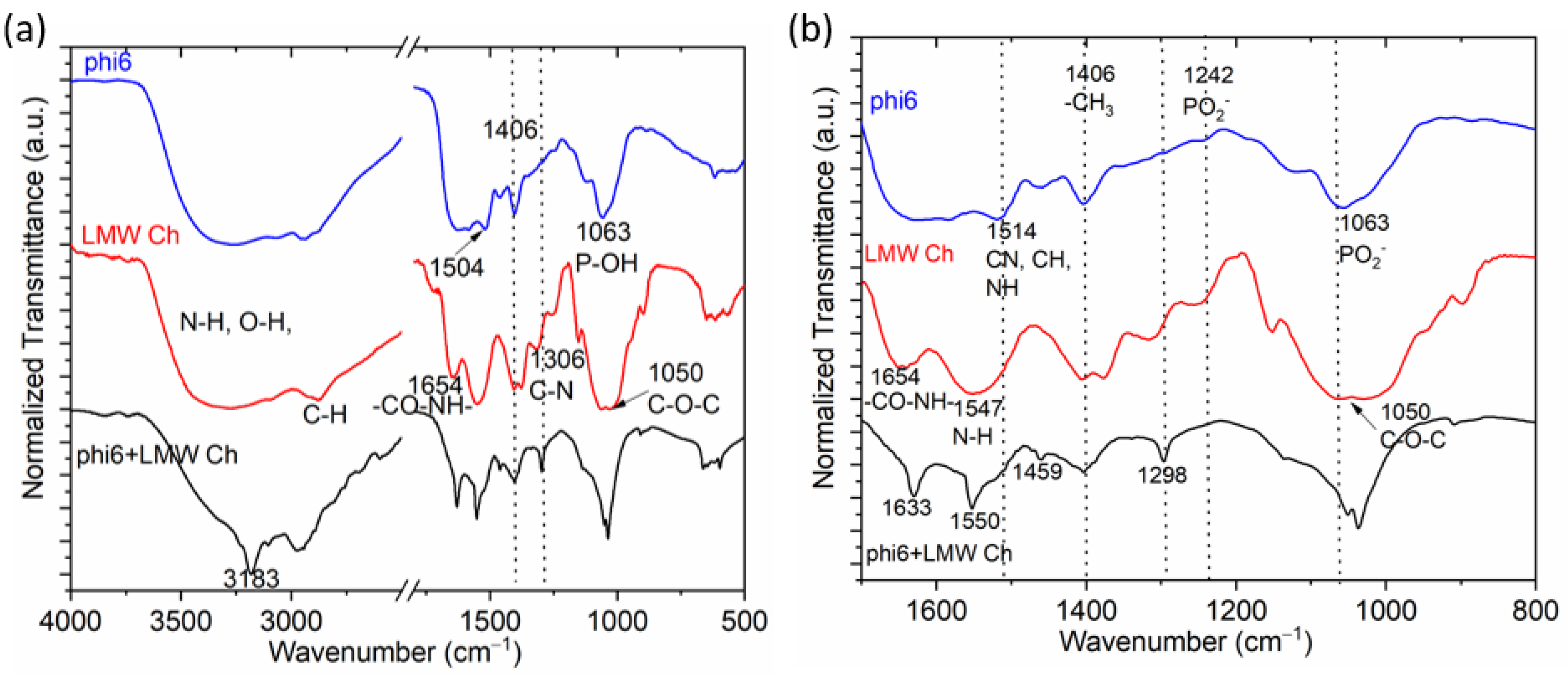 Polymers 14 03357 g004