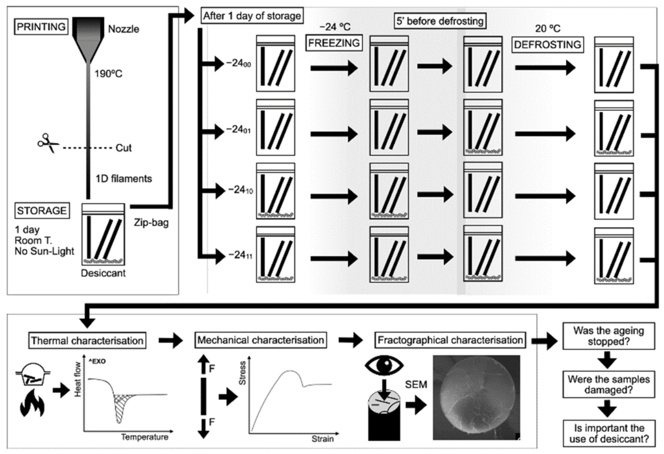 Polymers 14 03361 g001