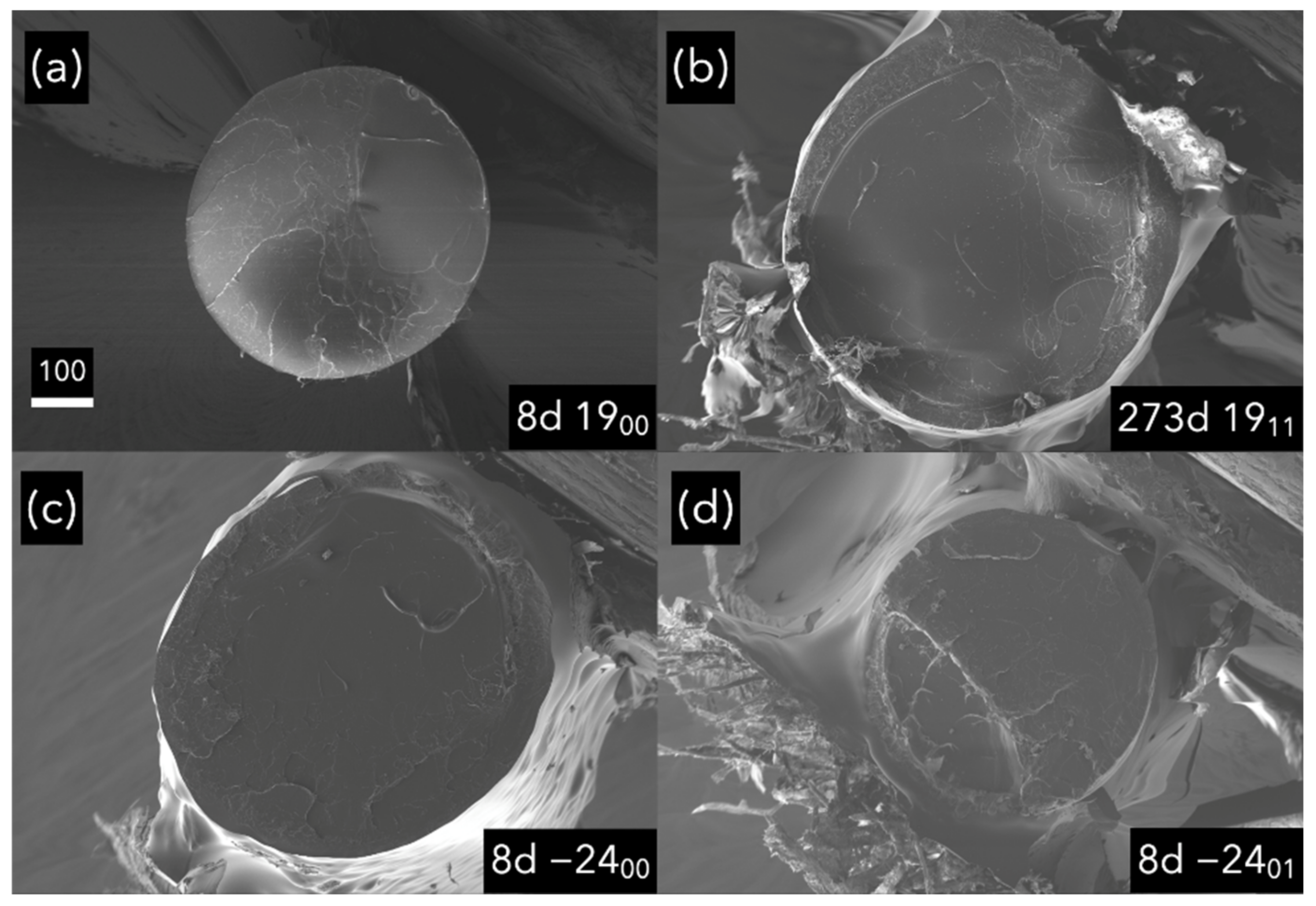 Polymers 14 03361 g017a