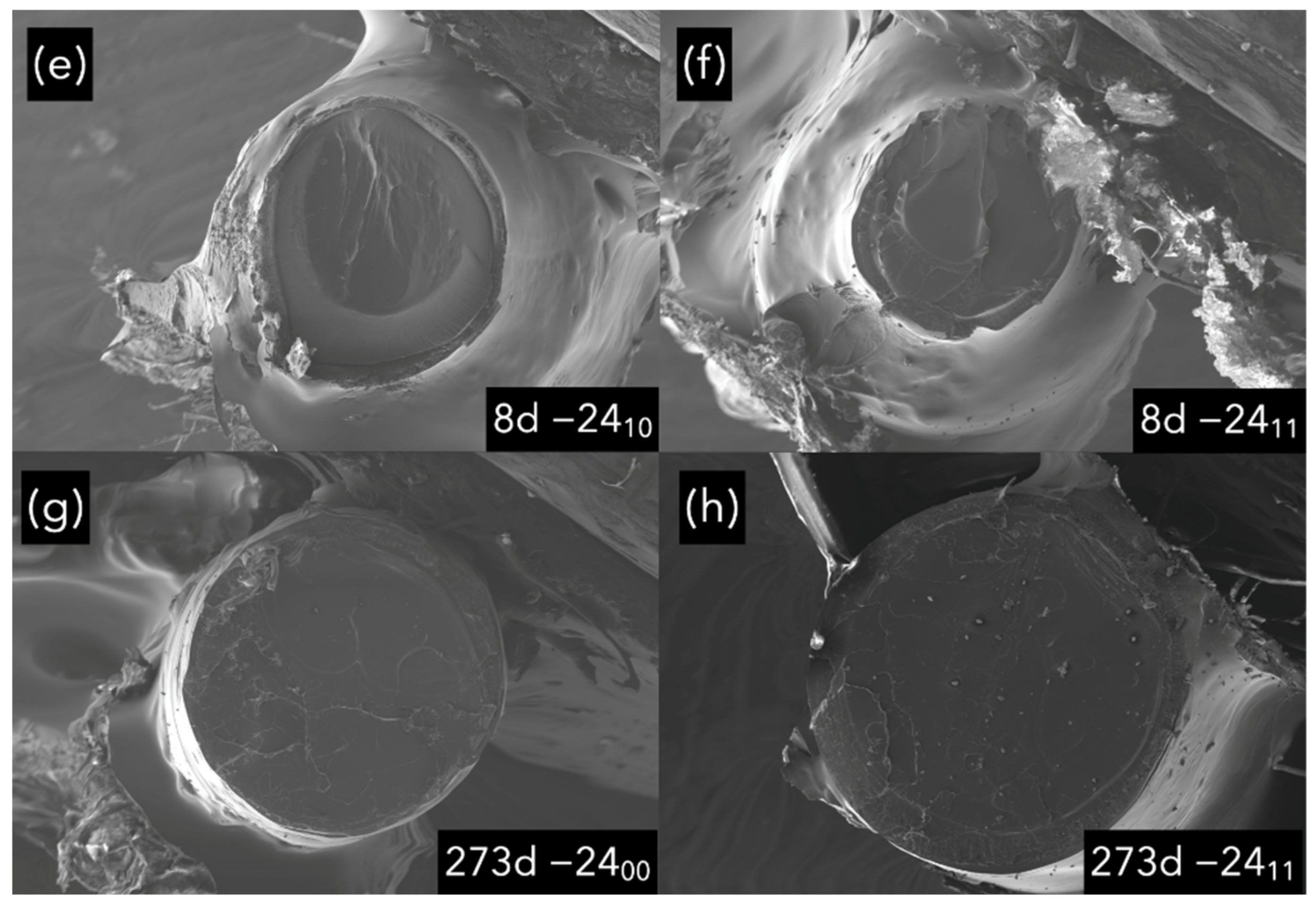 Polymers 14 03361 g017b