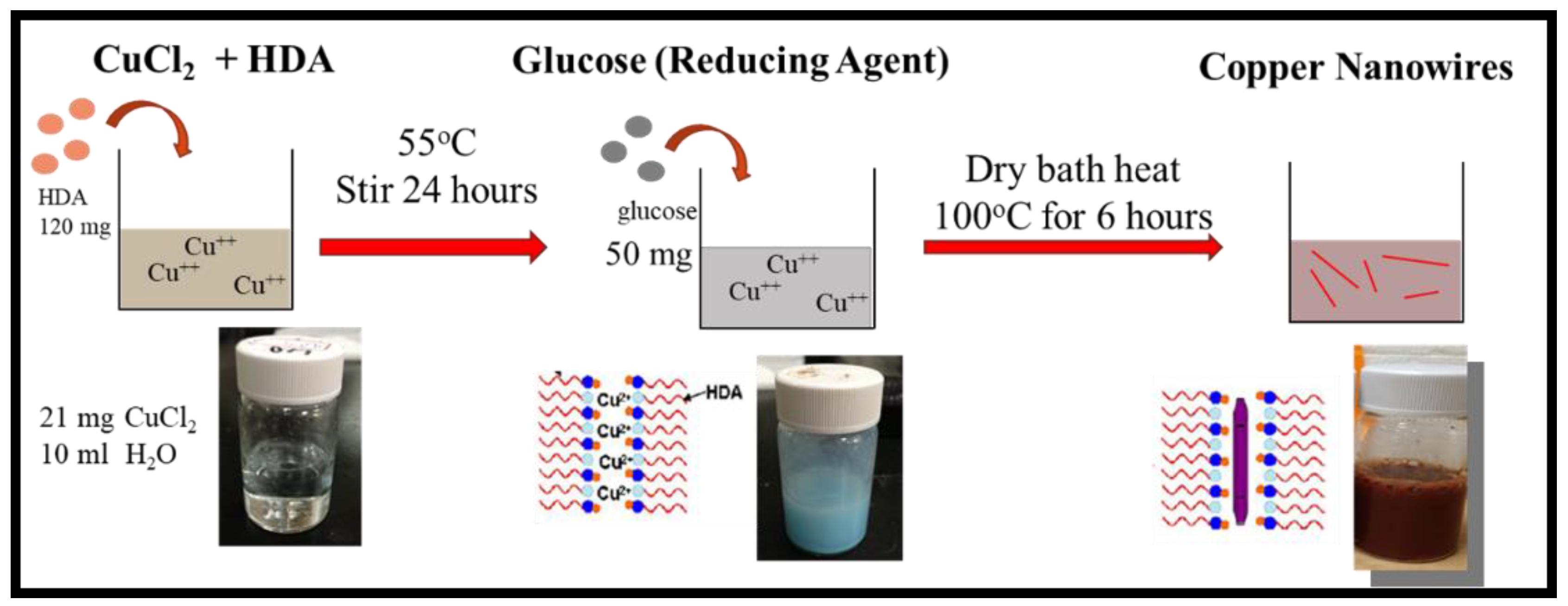 Polymers 14 03369 g001