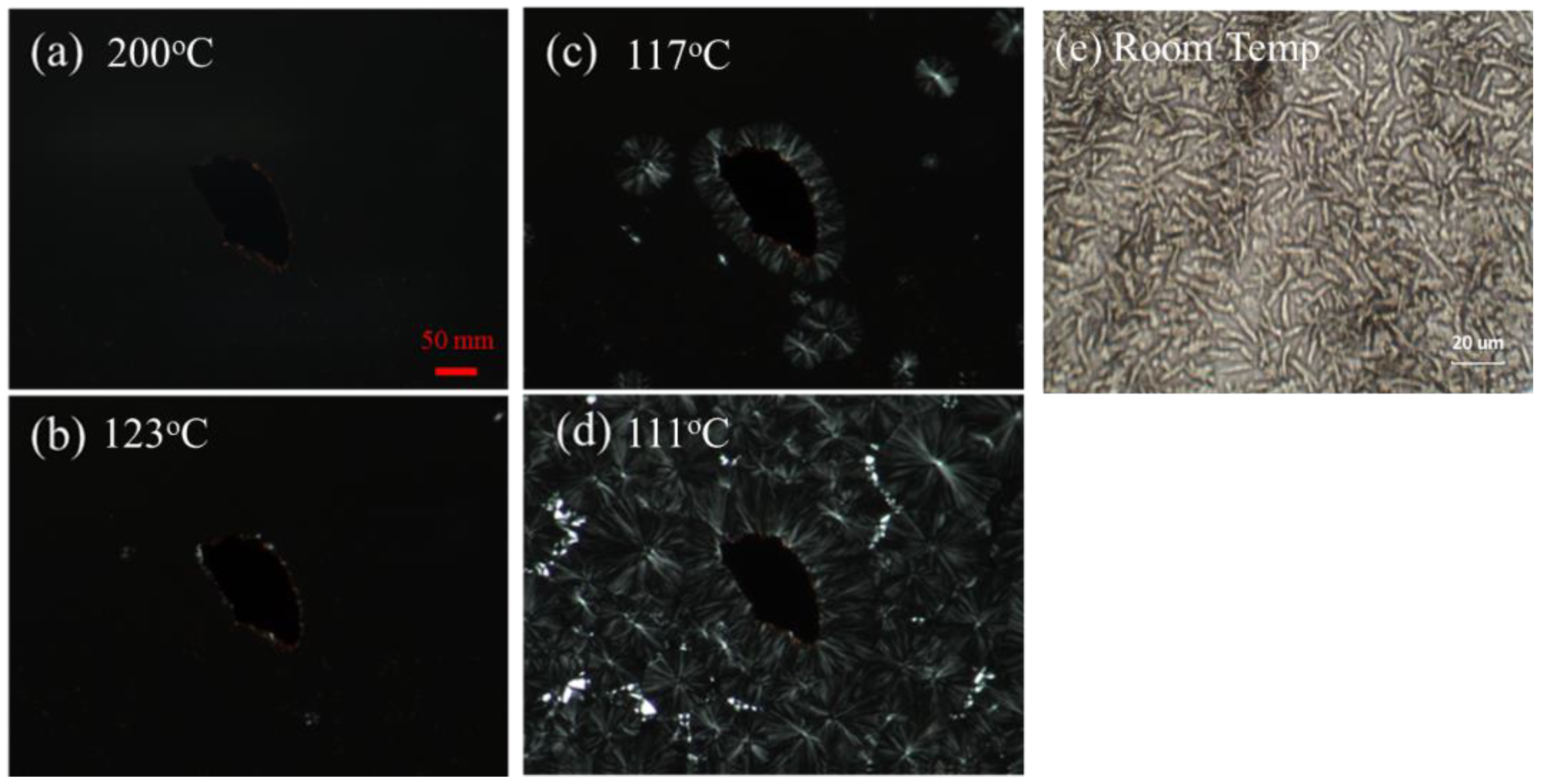Polymers 14 03369 g006