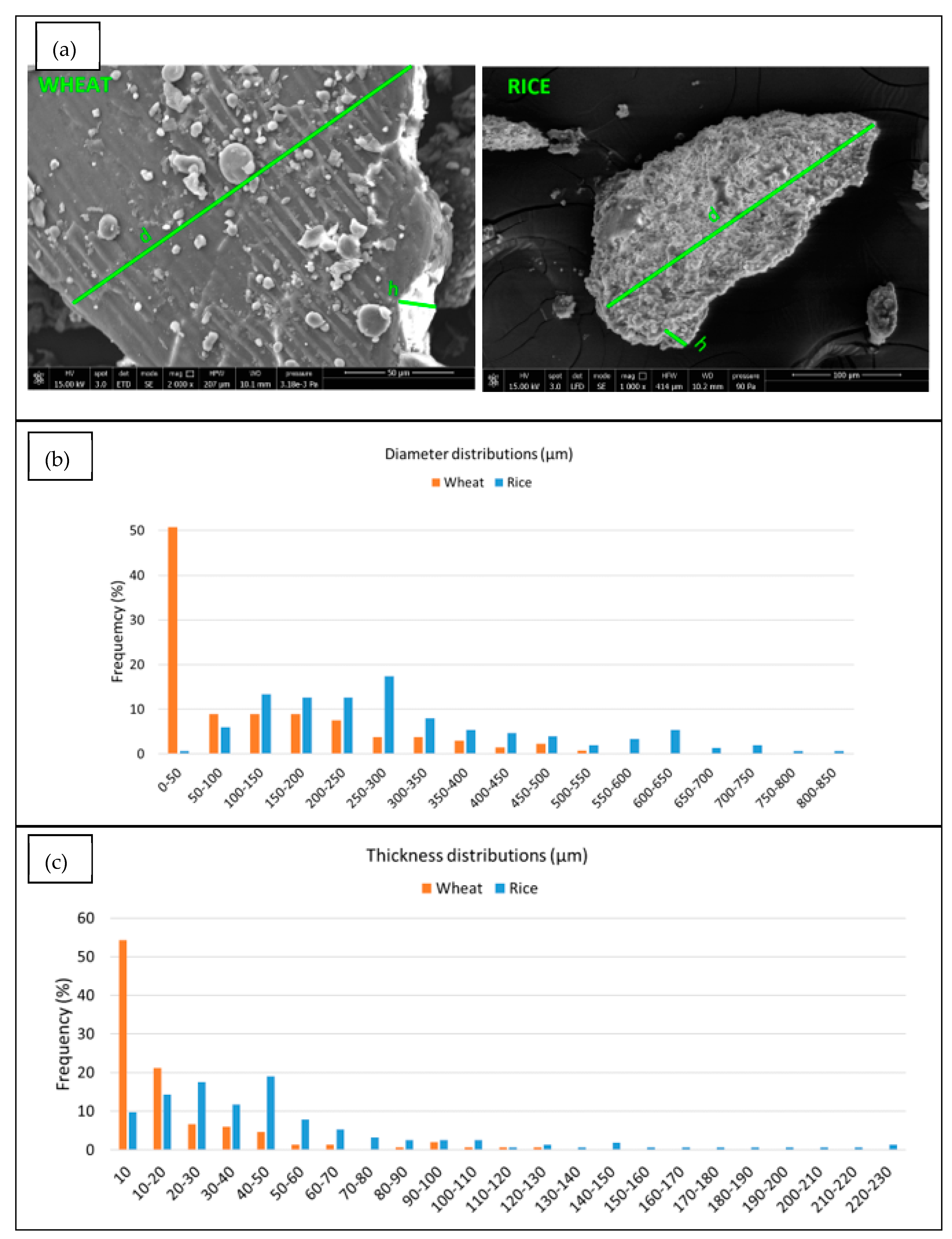 Polymers 14 03389 g003