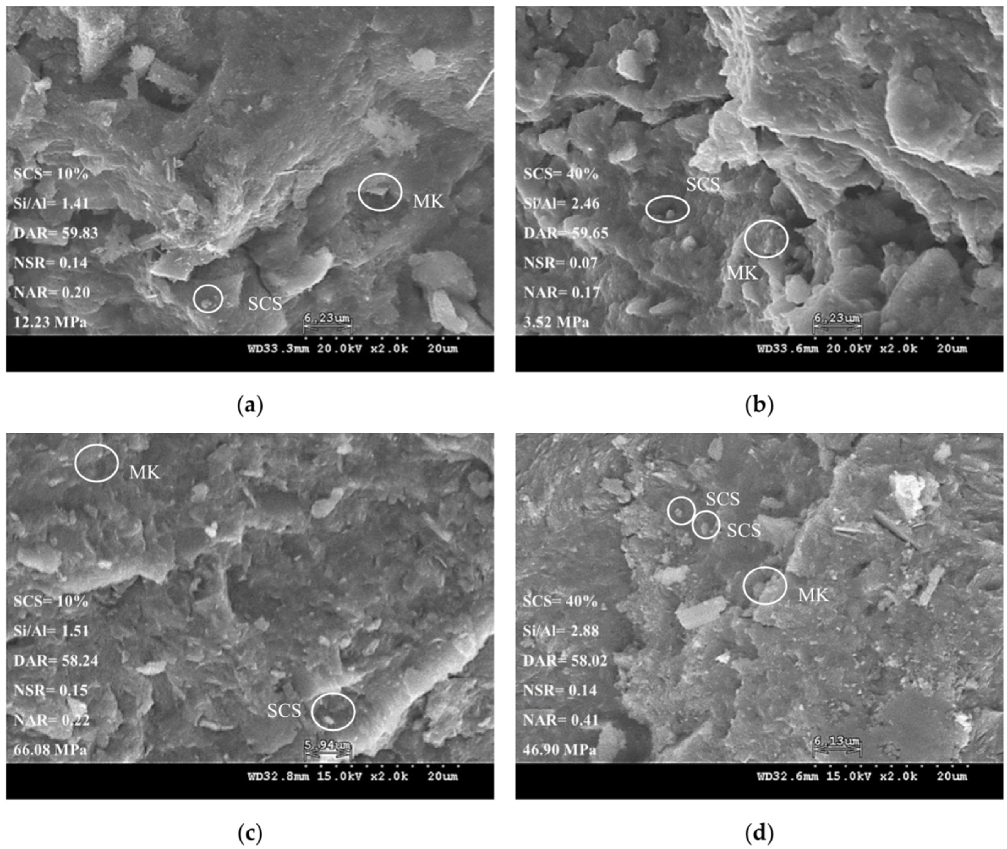 Polymers 14 03395 g004