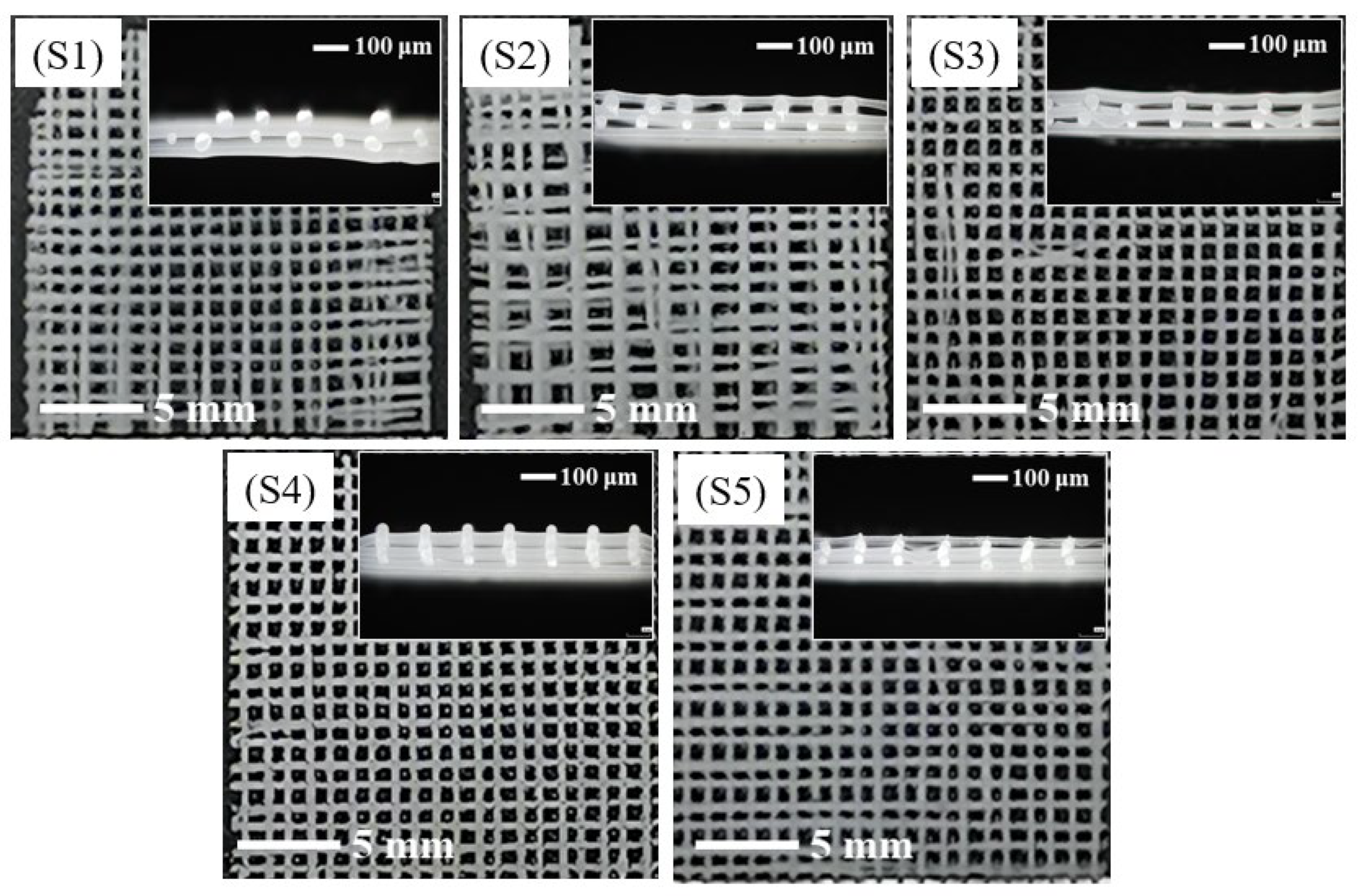 Polymers 14 03404 g002