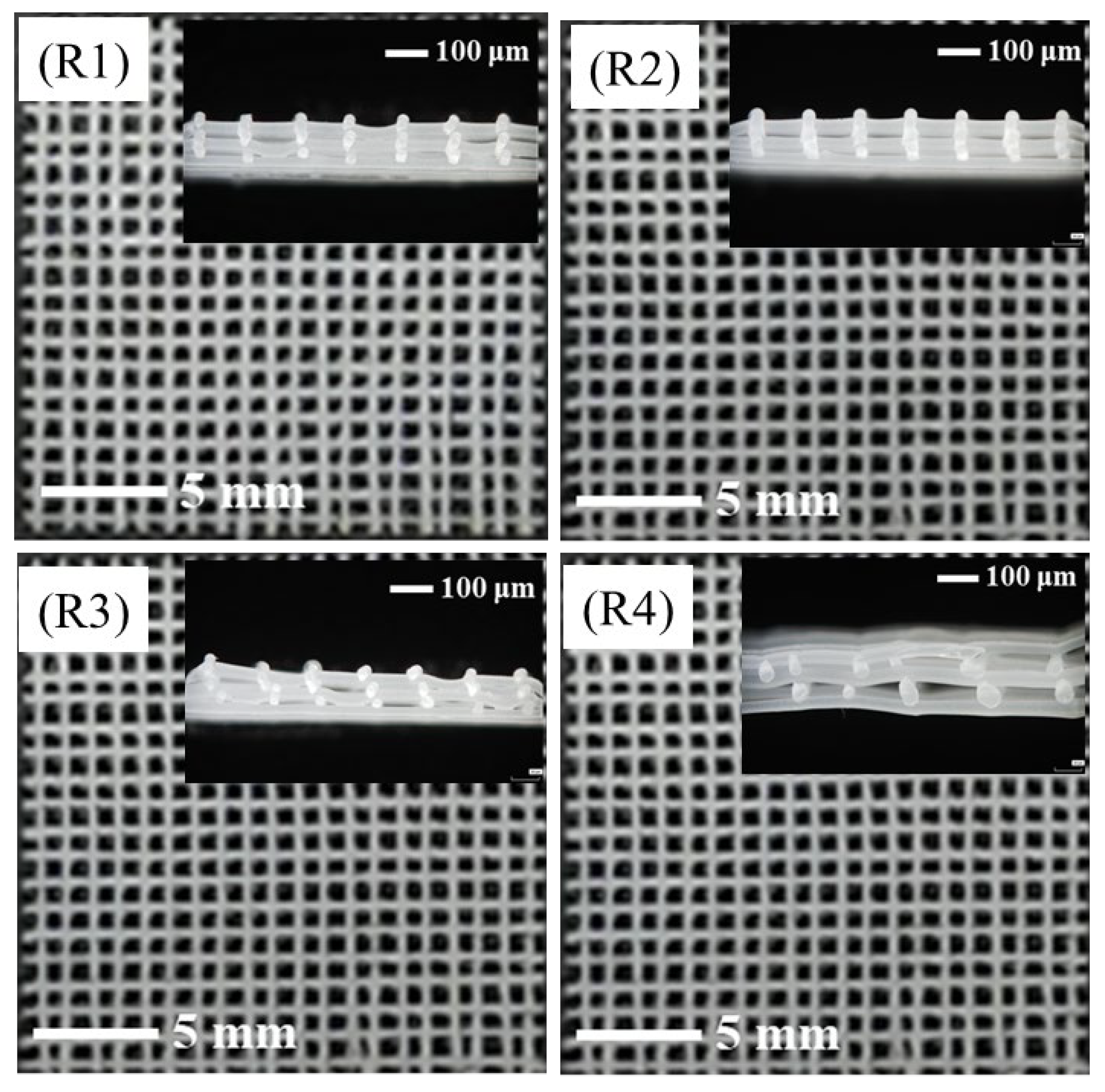 Polymers 14 03404 g003