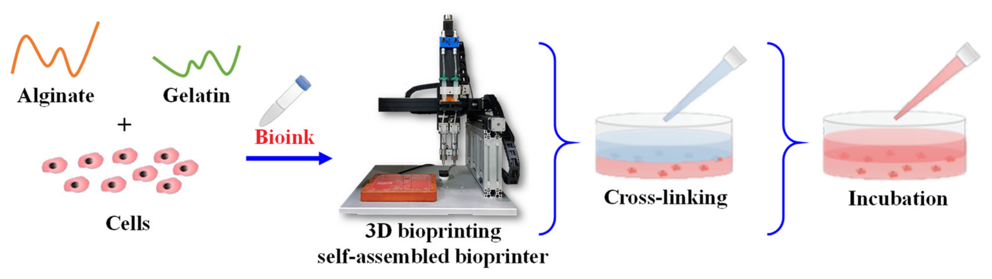 Polymers 14 03415 g003