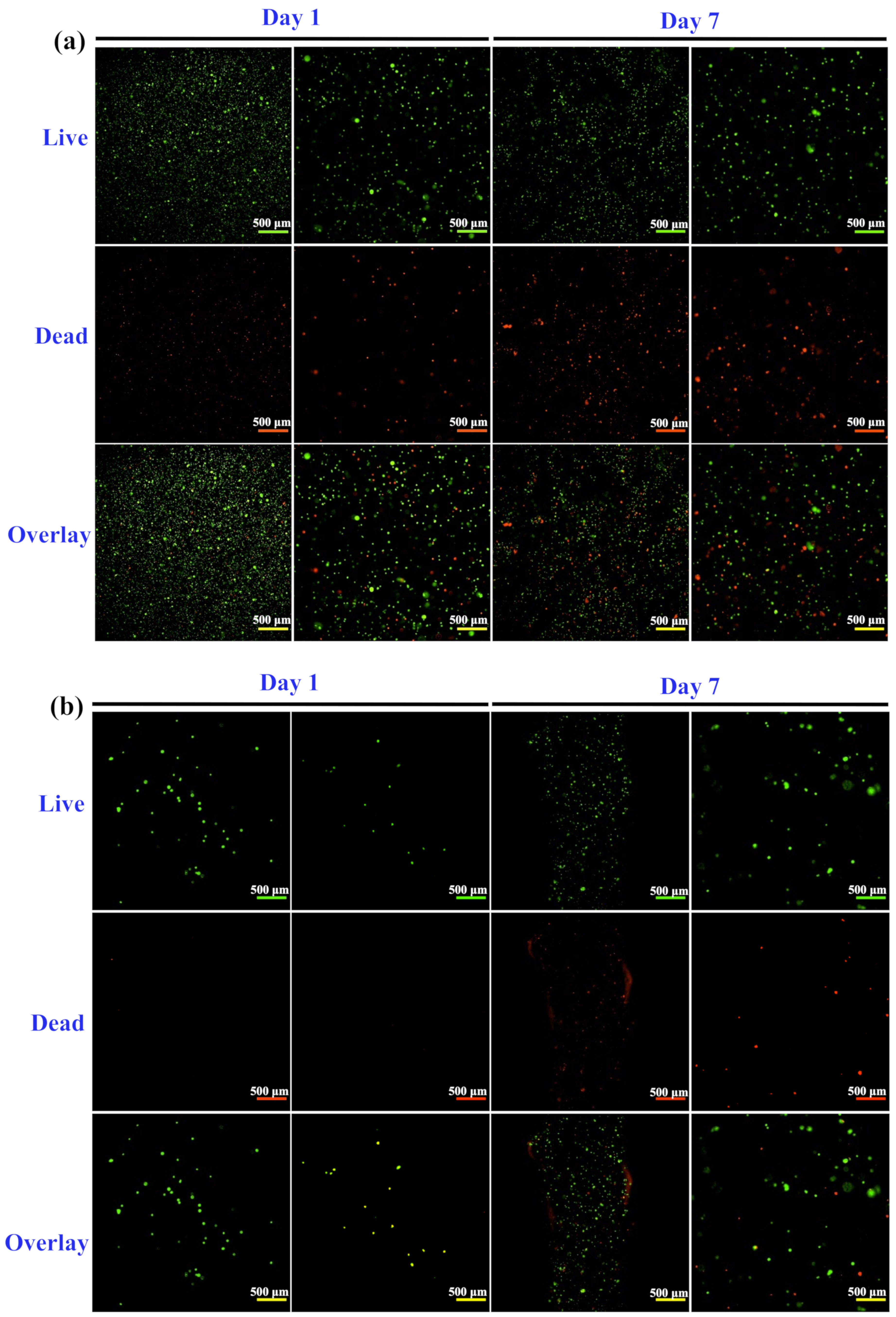 Polymers 14 03415 g009a