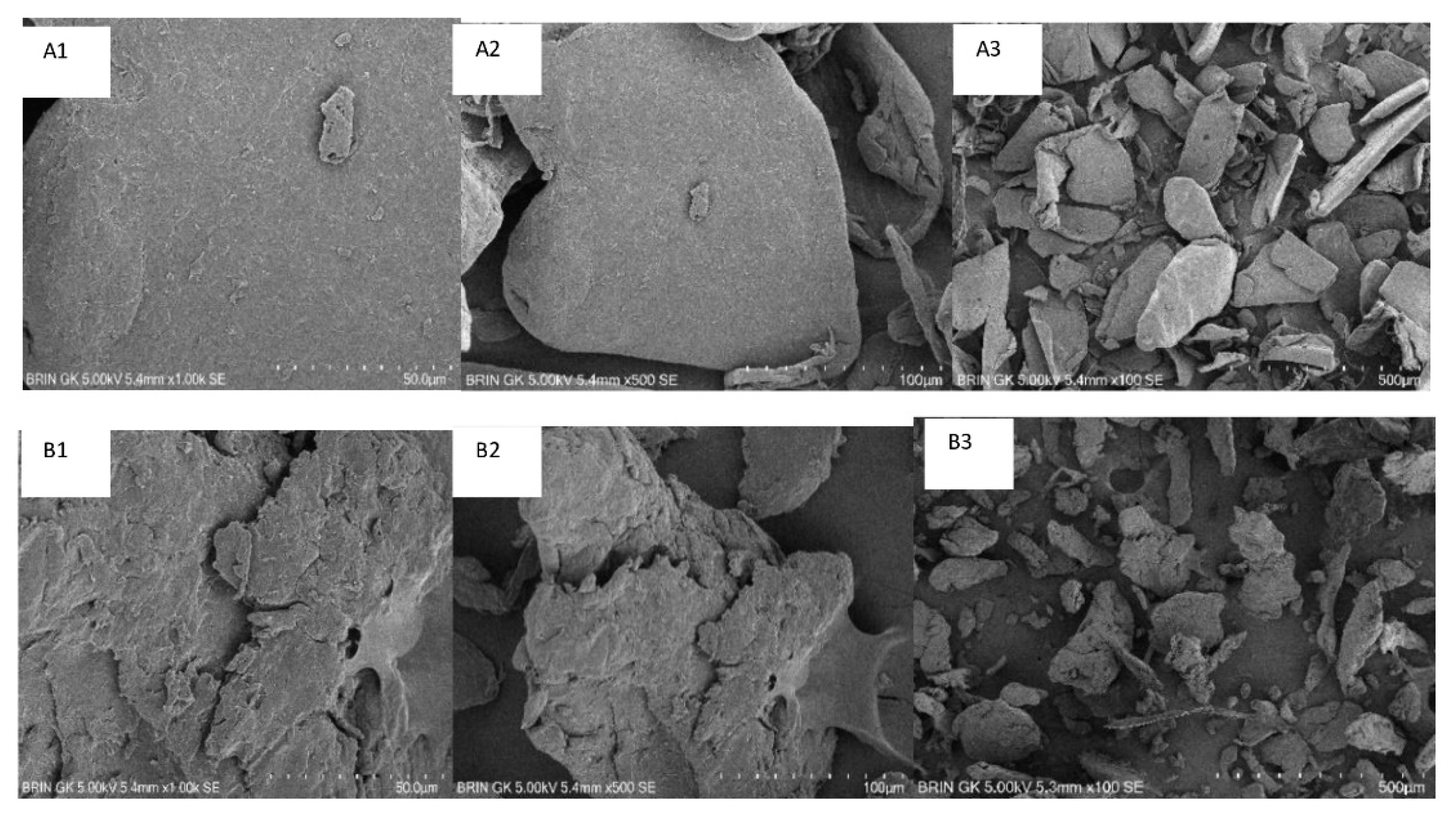 Polymers 14 03417 g006
