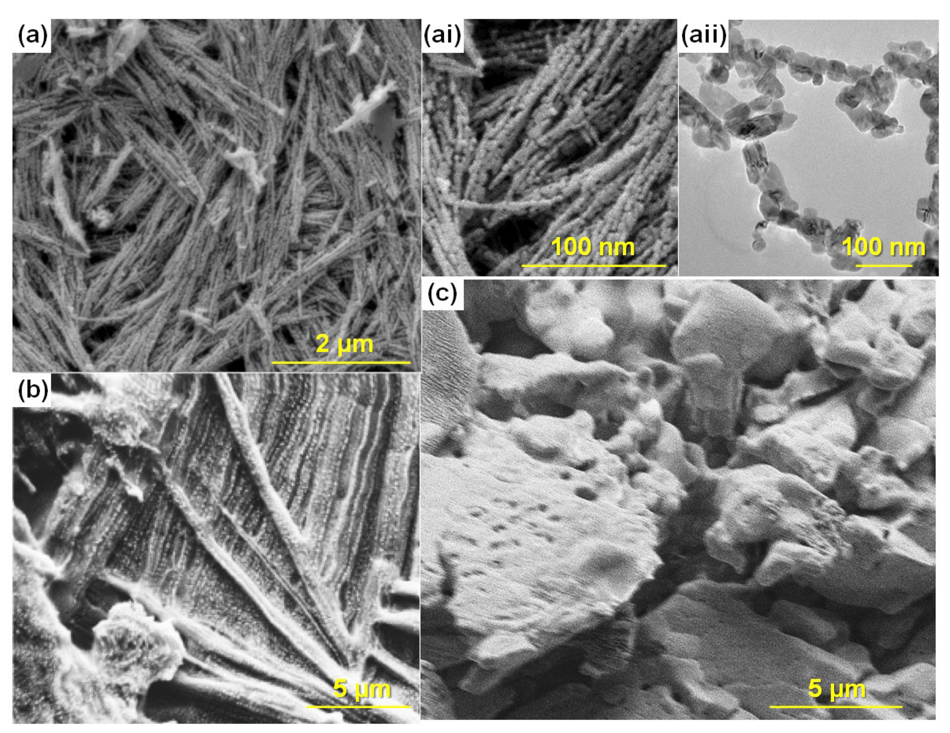 Polymers 14 03426 g004