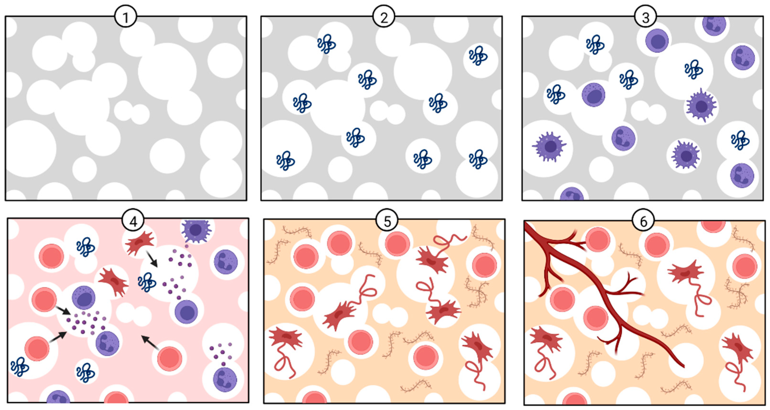 Polymers 14 03430 g002