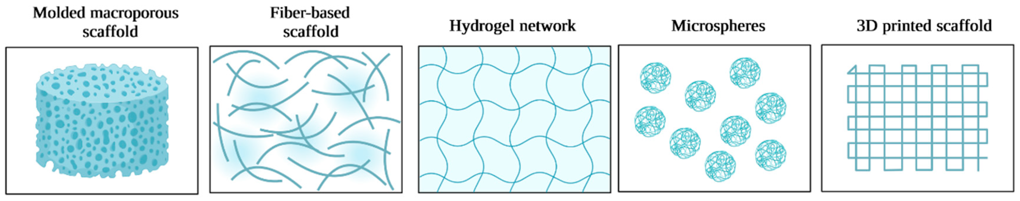 Polymers 14 03430 g004