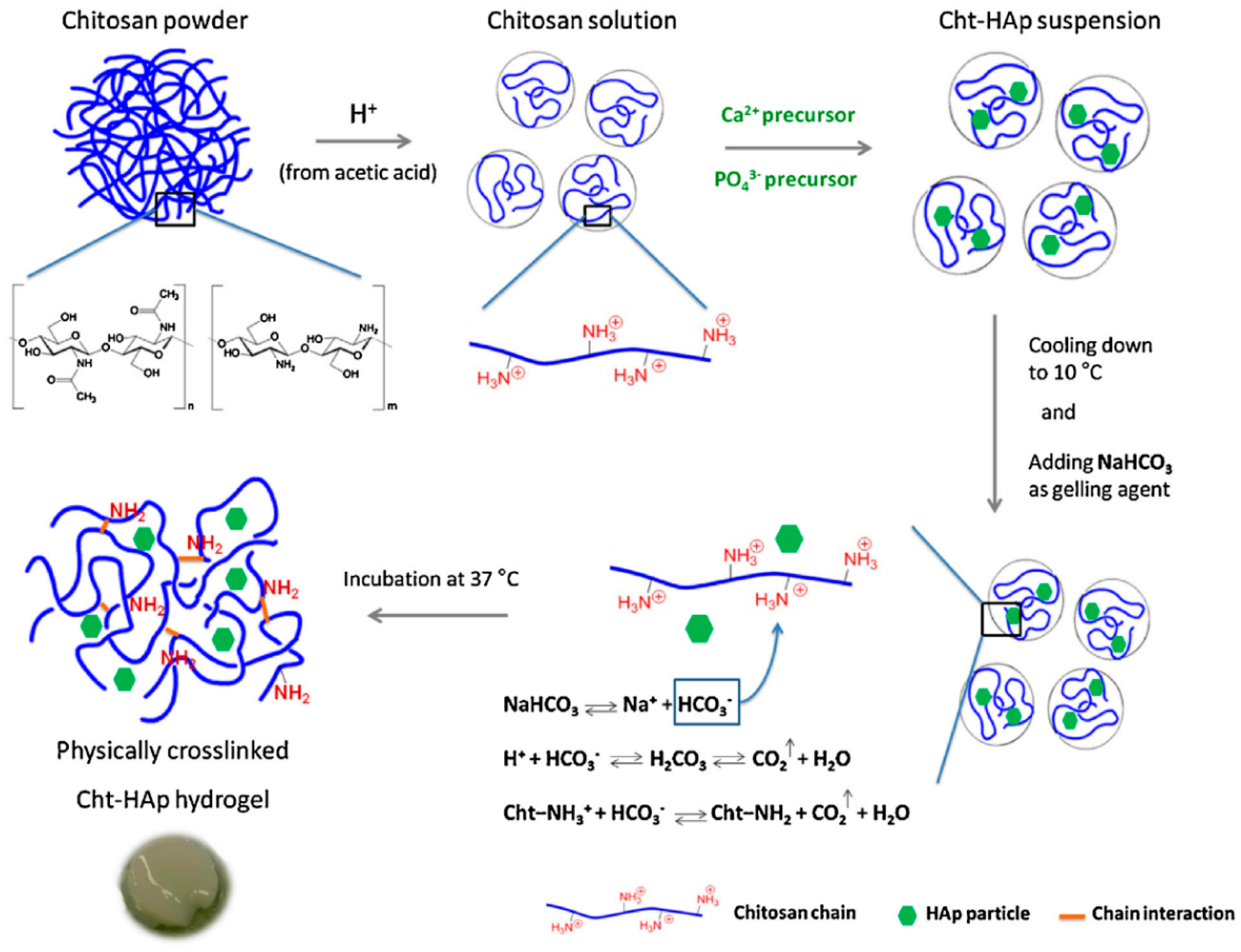 Polymers 14 03430 g005