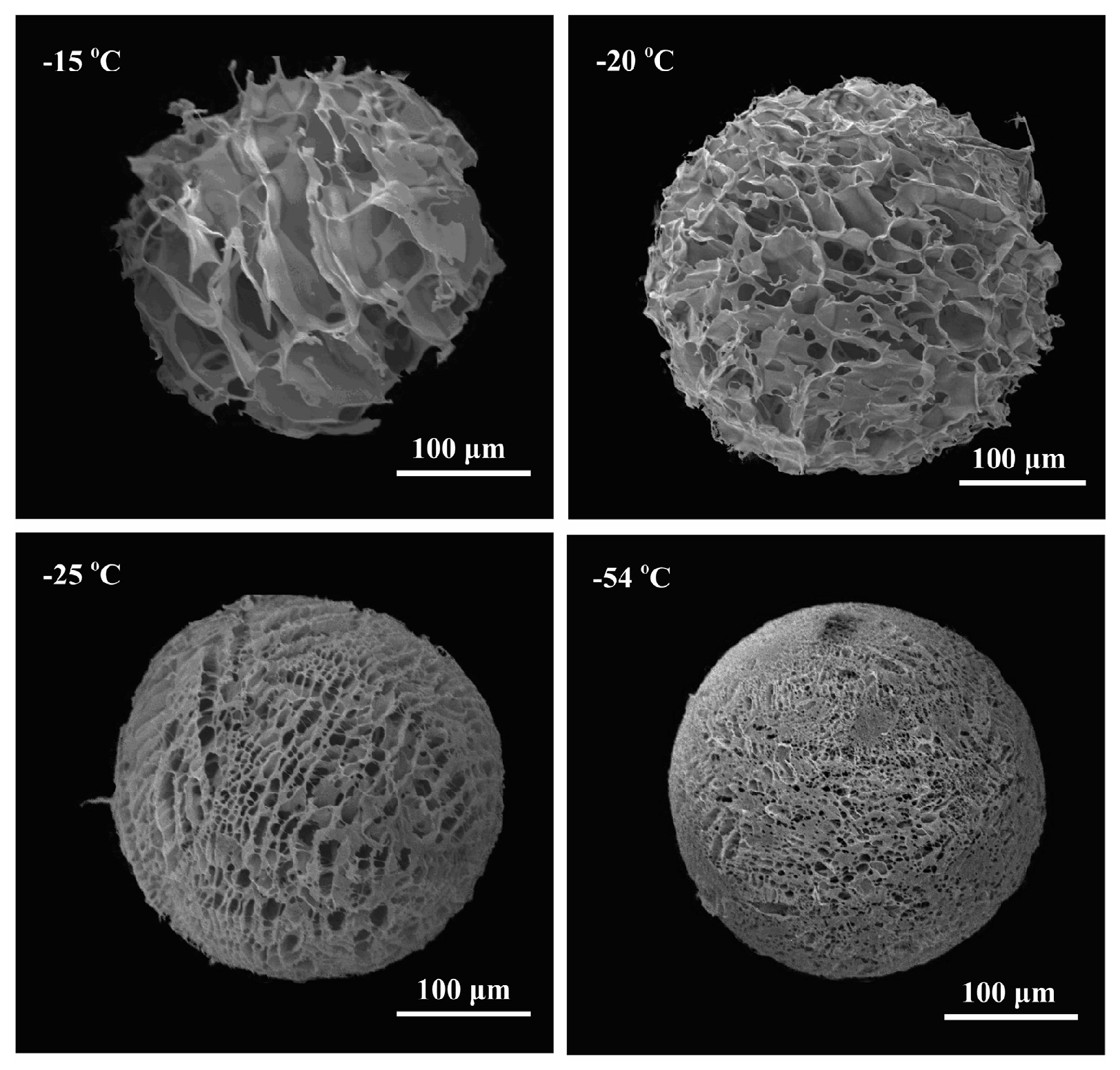 Polymers 14 03430 g006