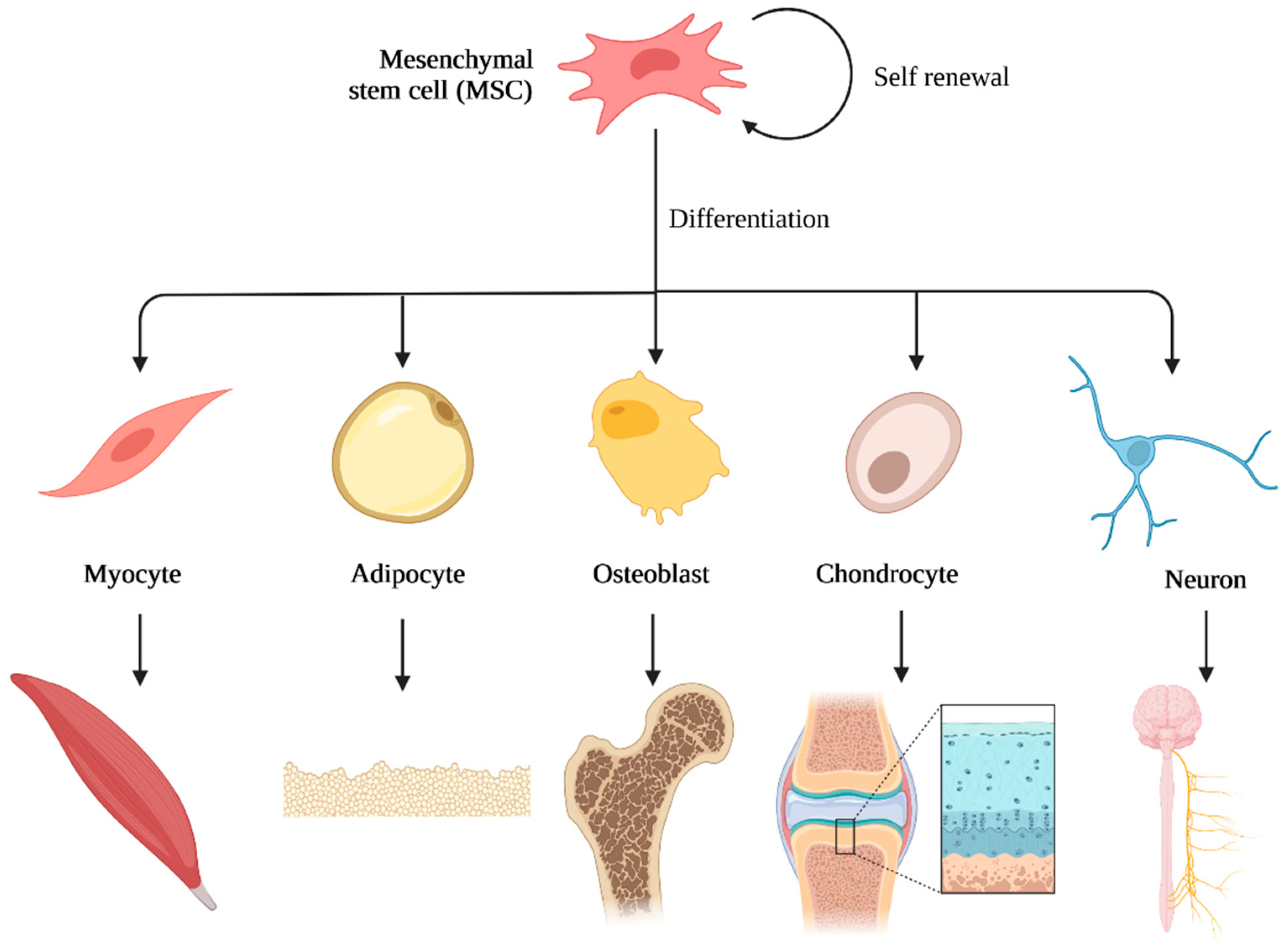 Polymers 14 03430 g007