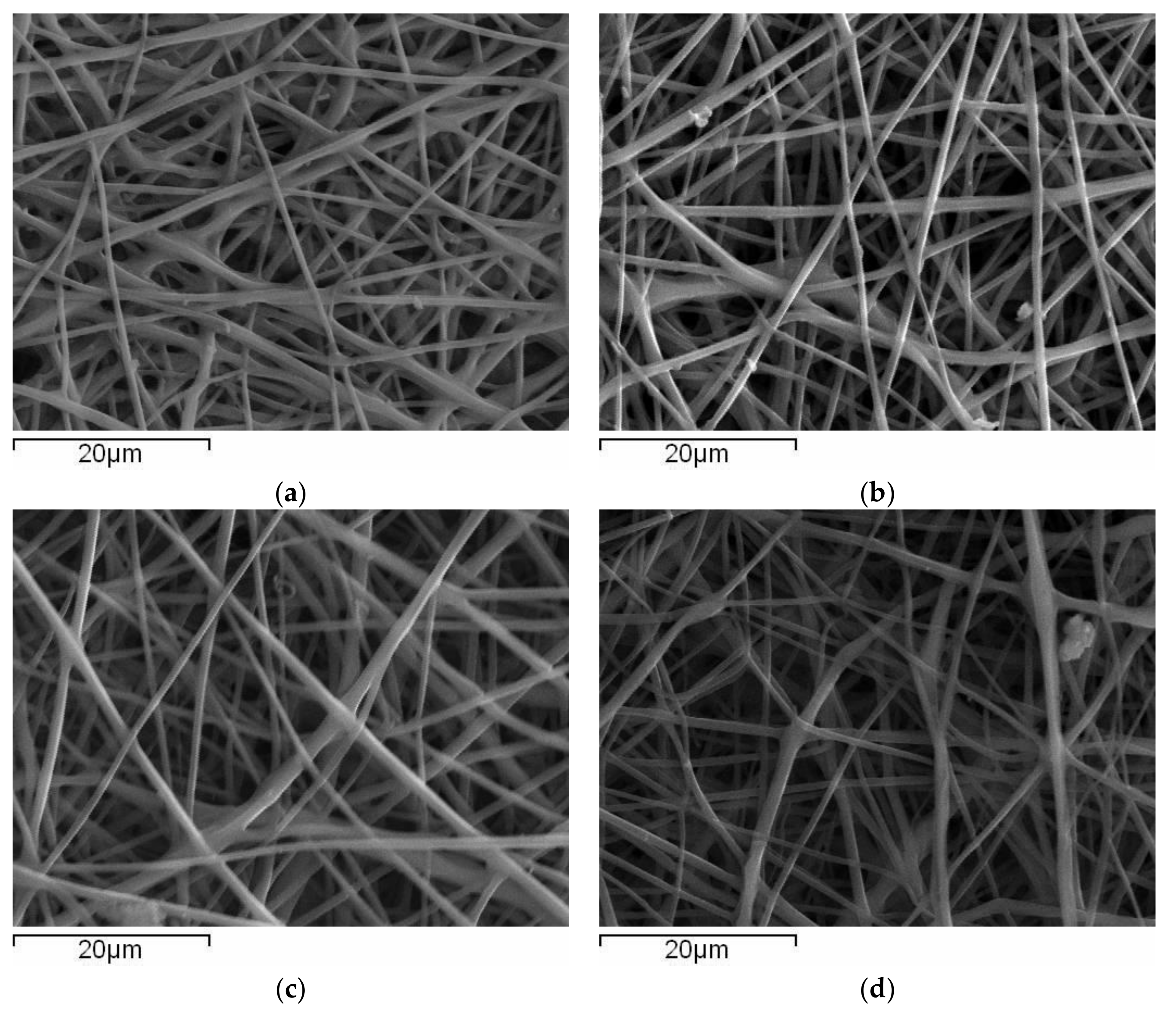 Polymers 14 03434 g001