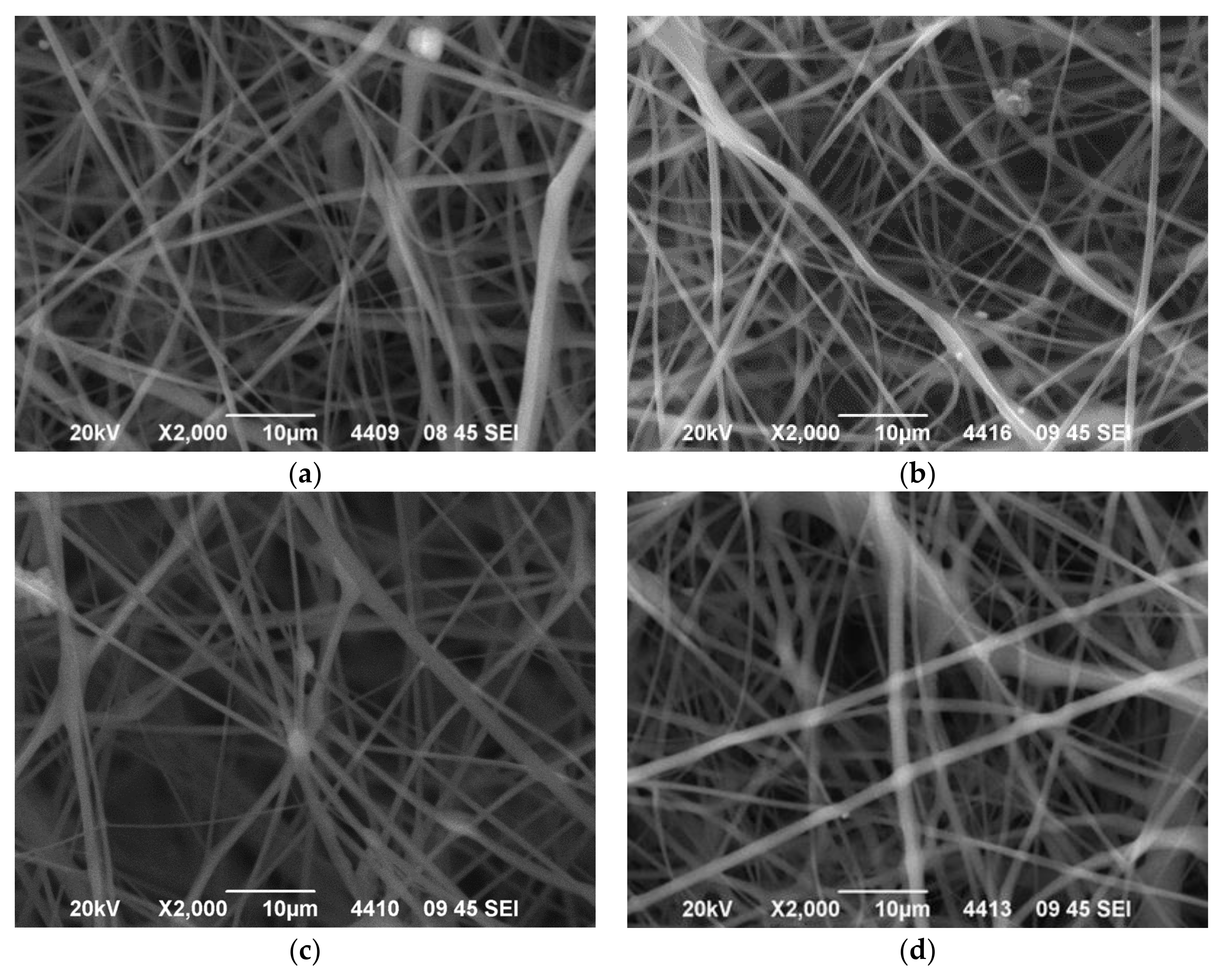Polymers 14 03434 g002