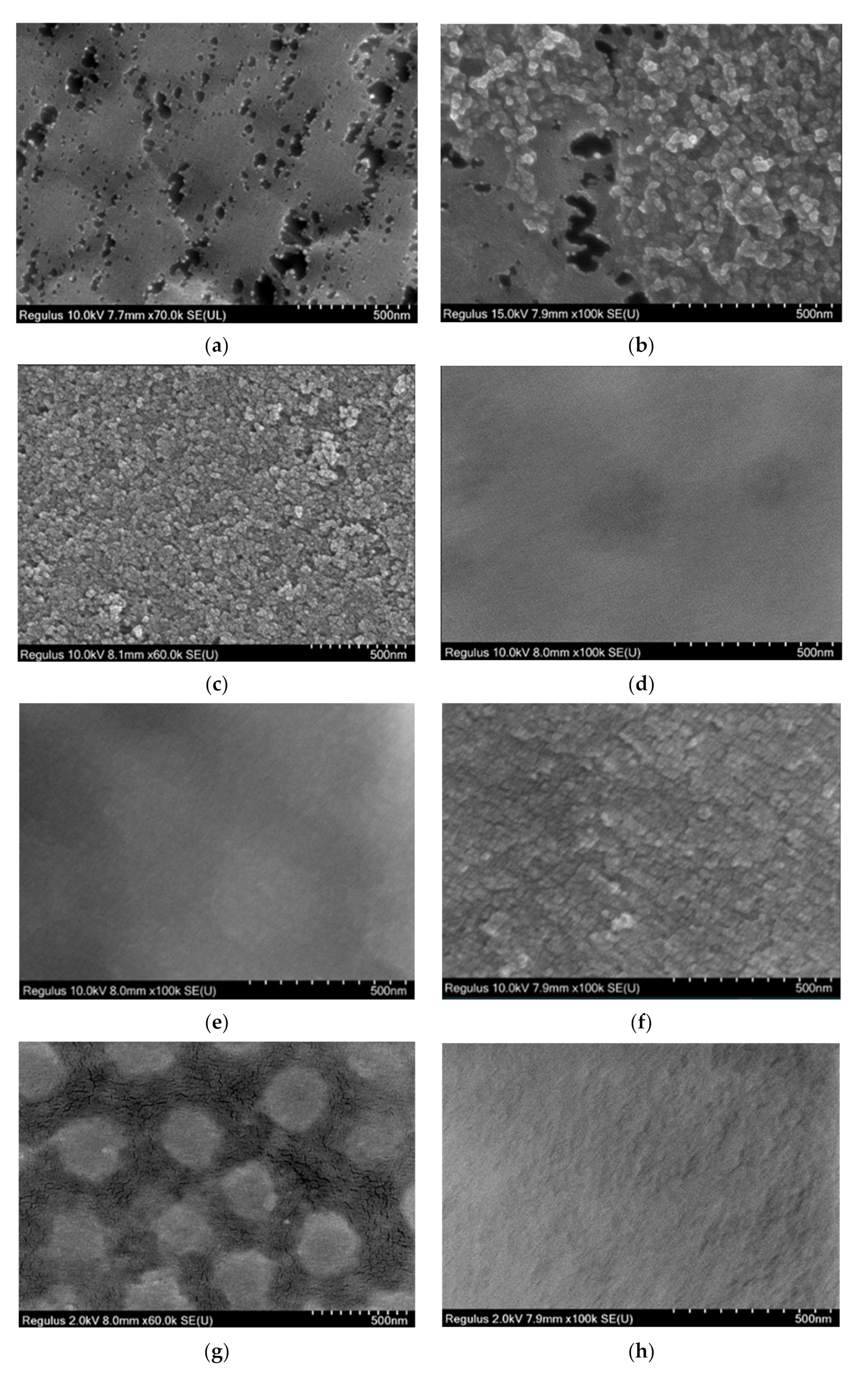 Polymers 14 03441 g008