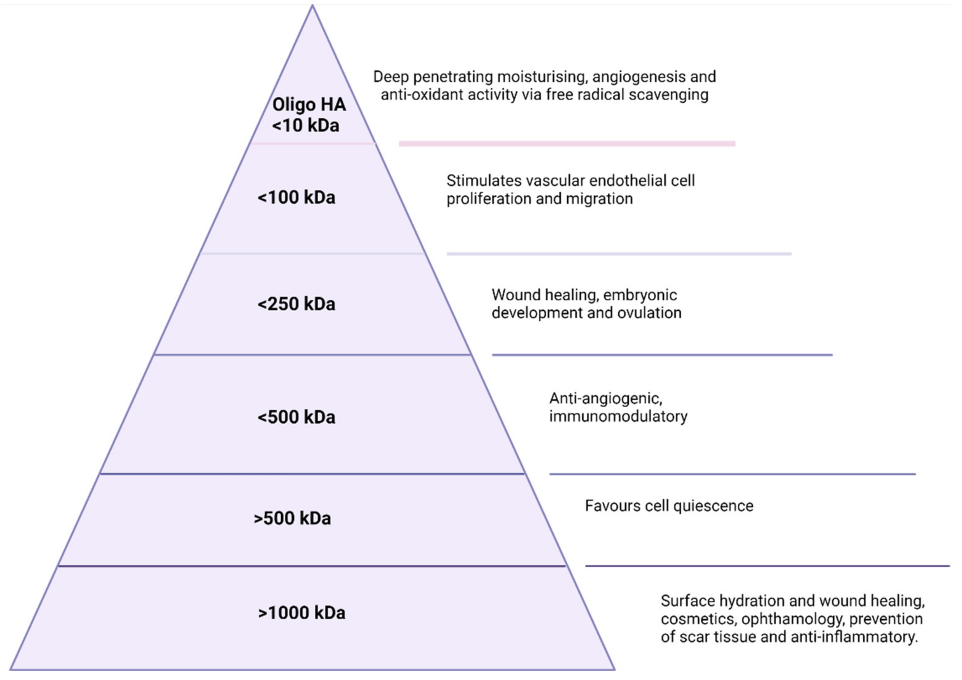 Polymers 14 03442 g002