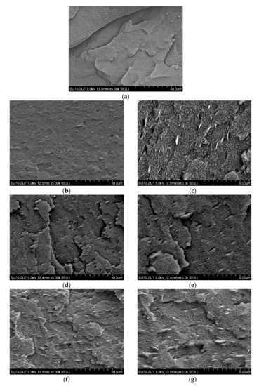 Polymers 14 03444 g003a Polymers 14 03444 g003a