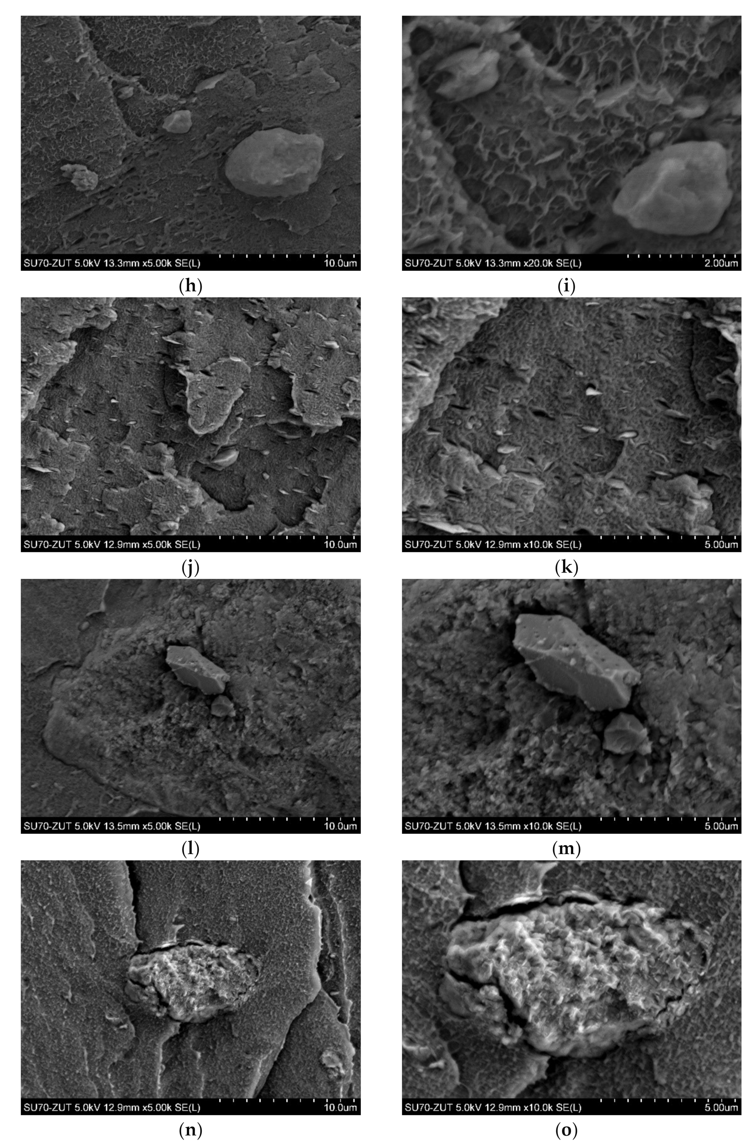 Polymers 14 03444 g003b Polymers 14 03444 g003b