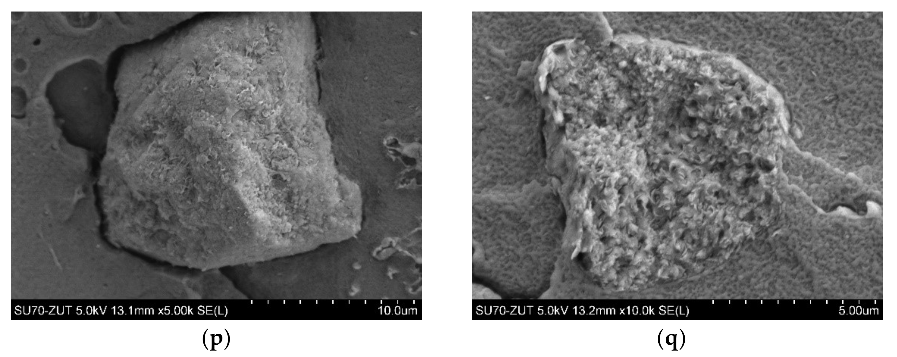 Polymers 14 03444 g003c Polymers 14 03444 g003c