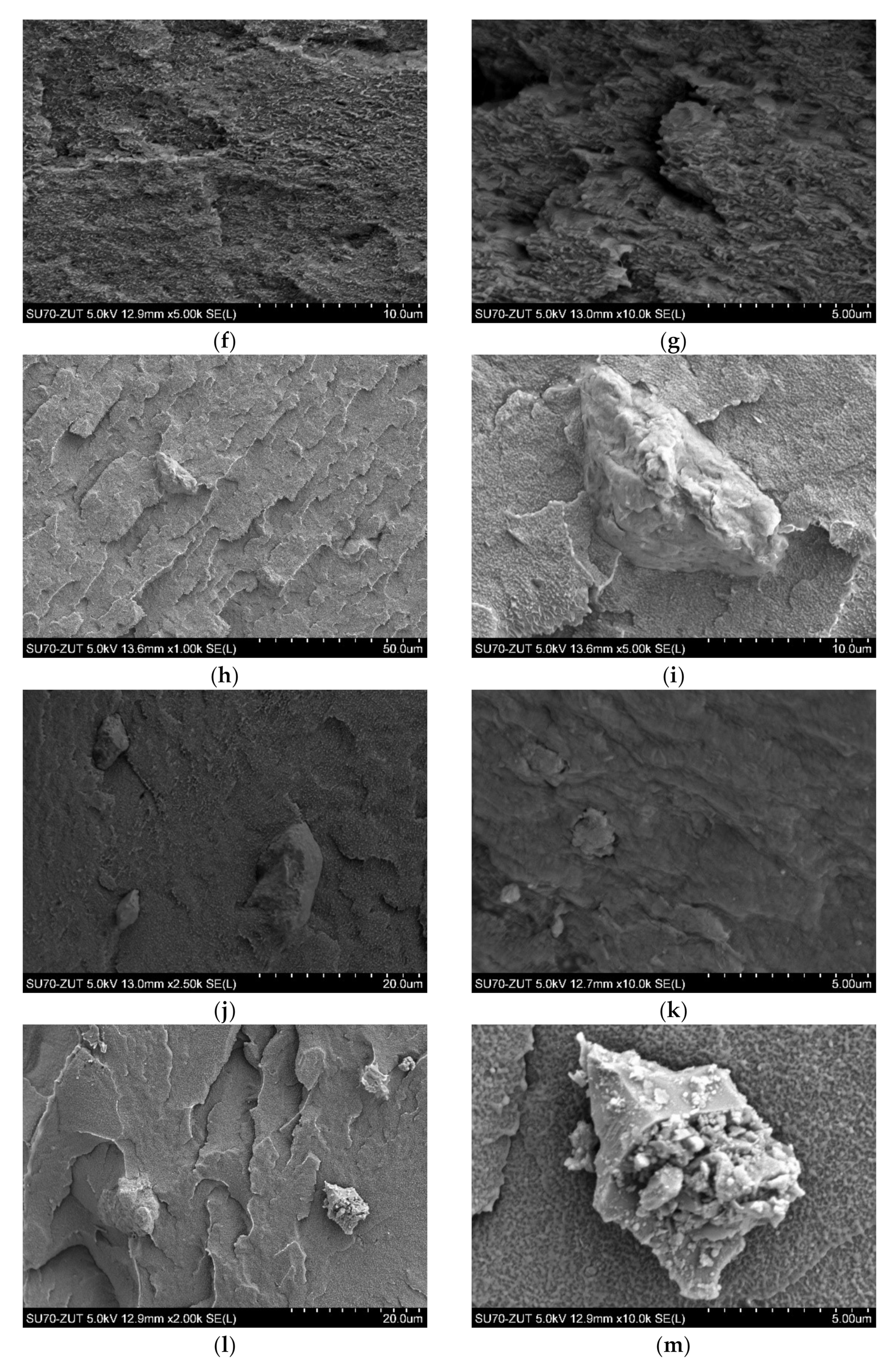 Polymers 14 03444 g004b Polymers 14 03444 g004b