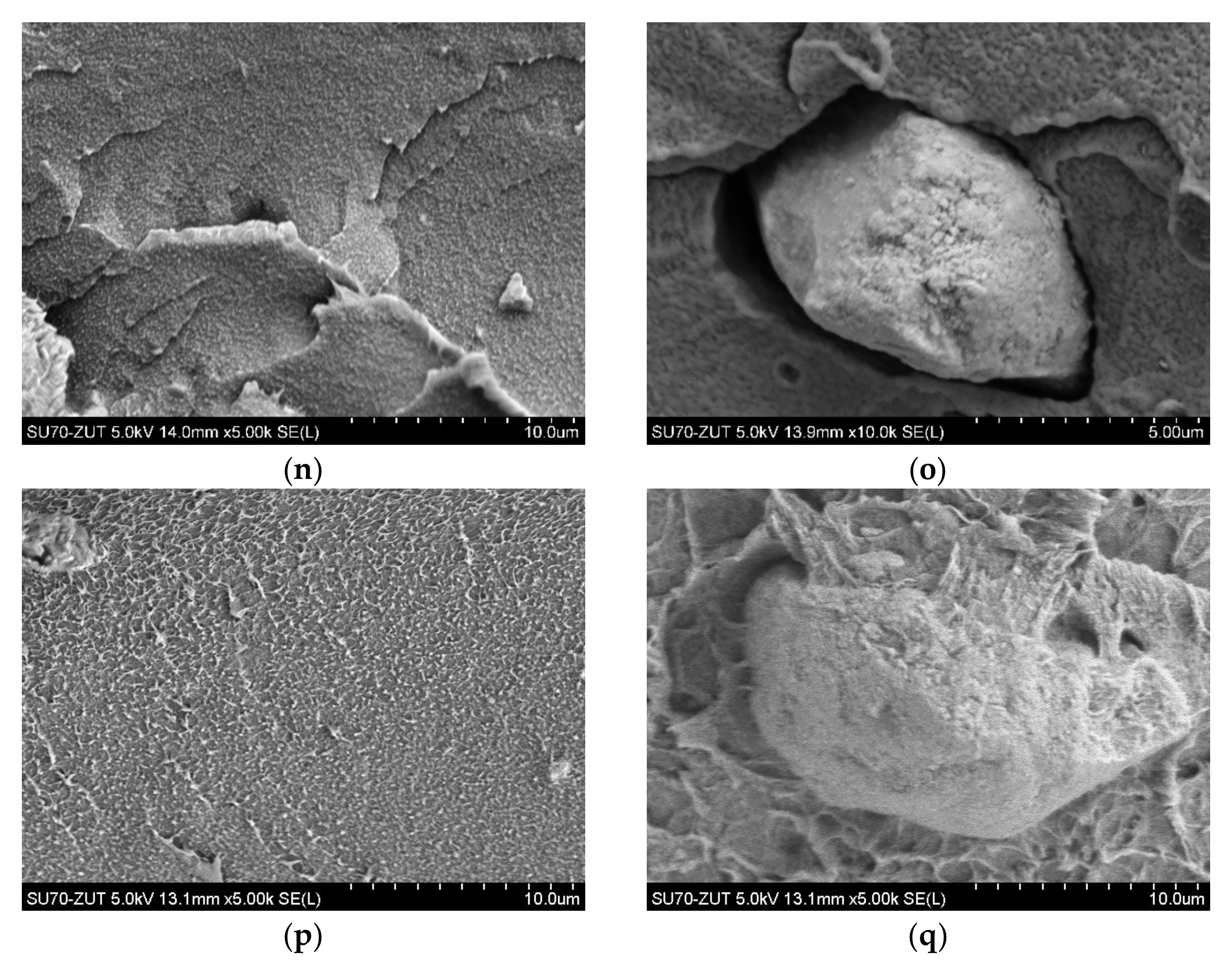 Polymers 14 03444 g004c Polymers 14 03444 g004c