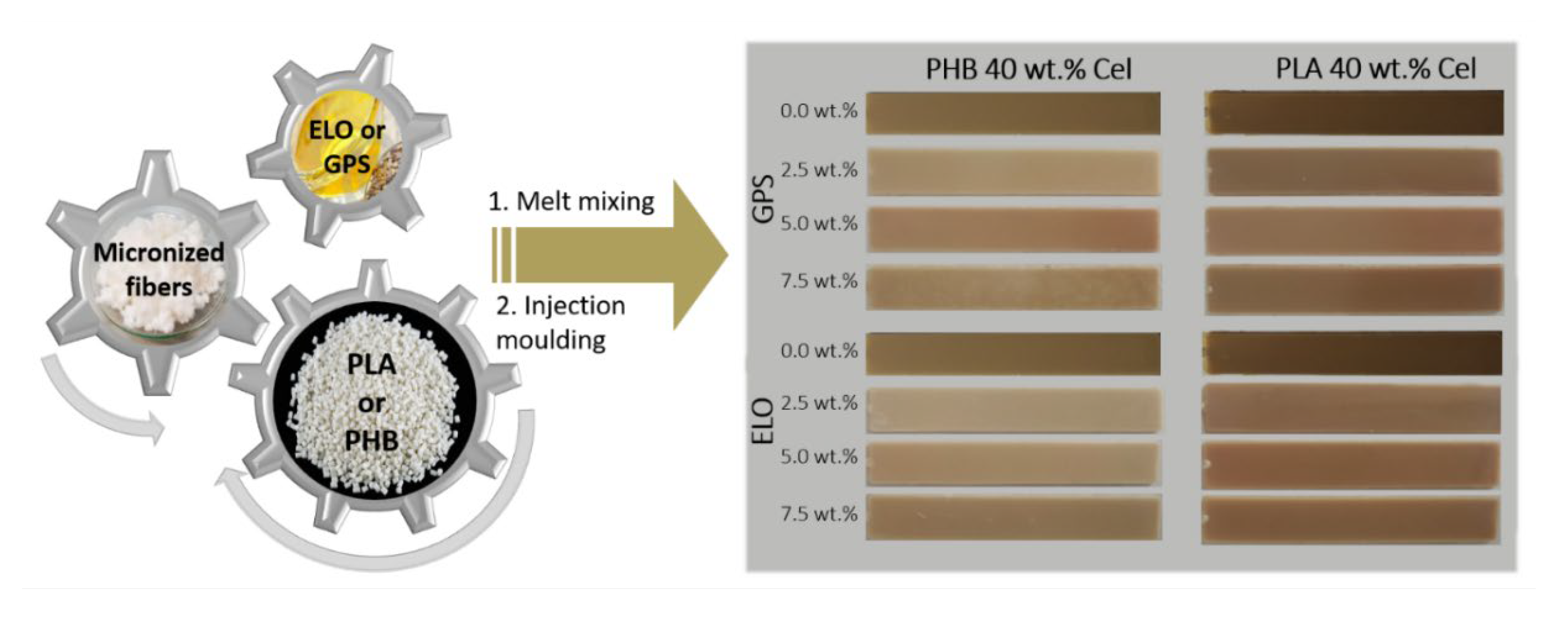 Polymers 14 03451 g001