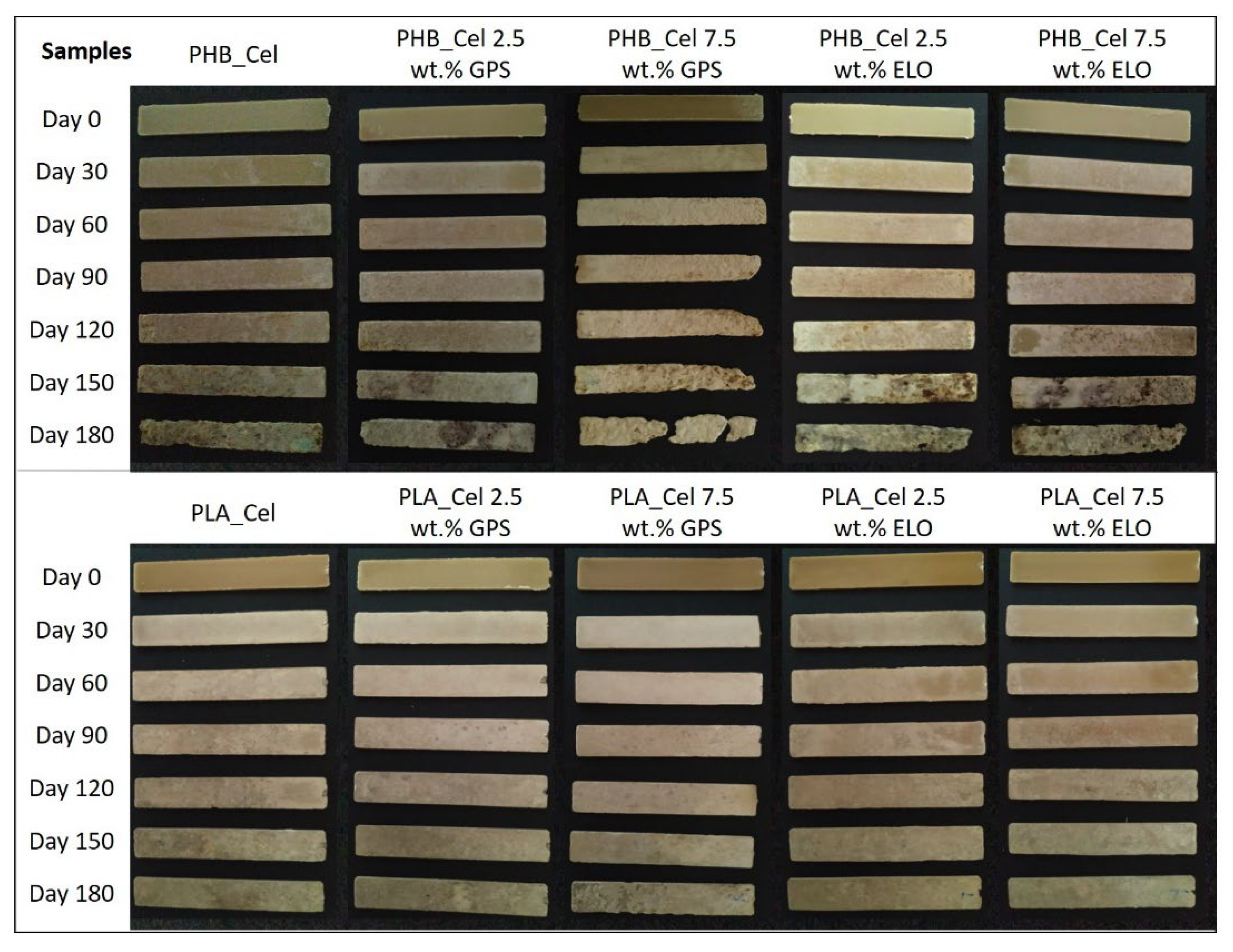 Polymers 14 03451 g009