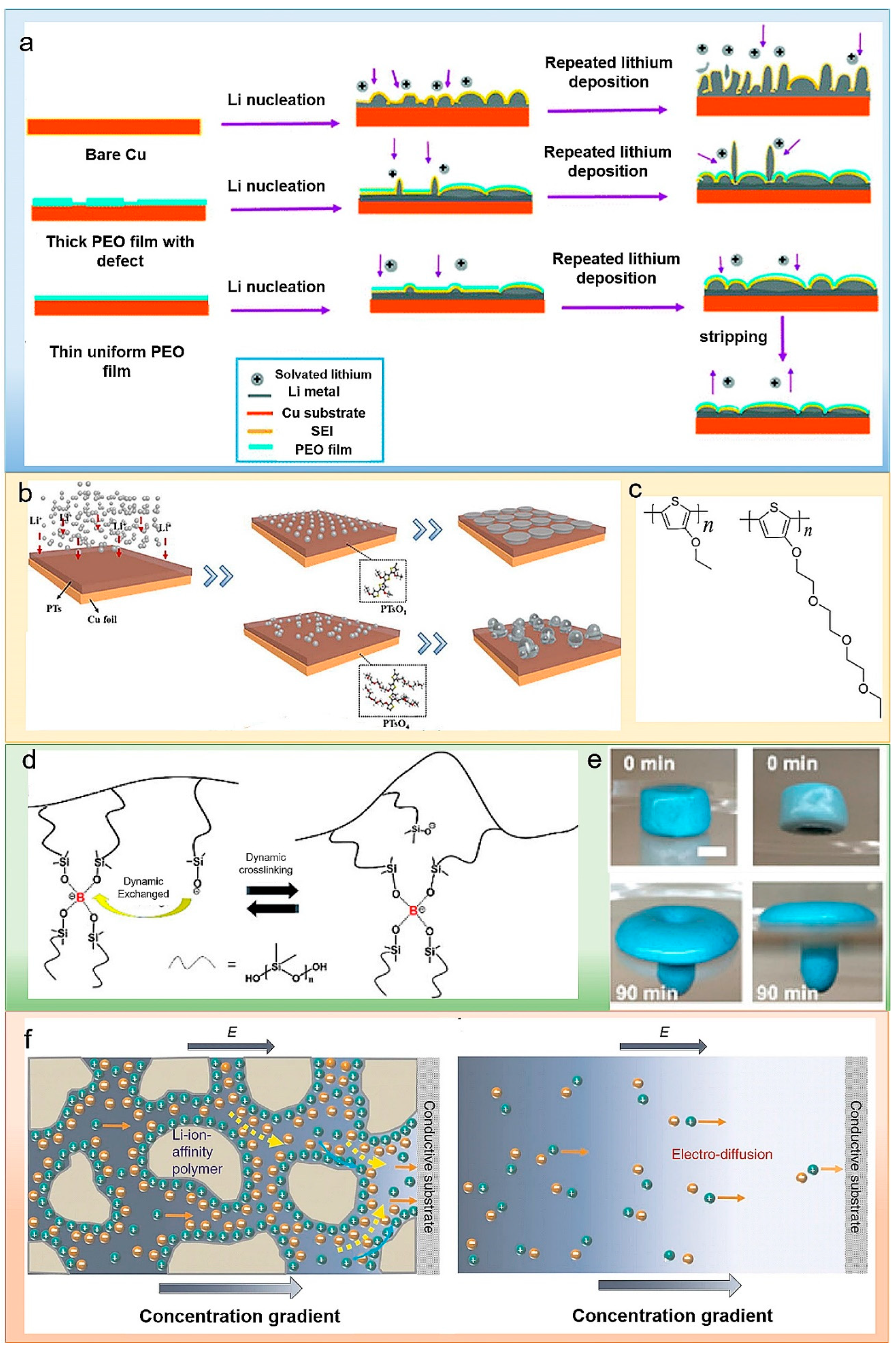 Polymers 14 03452 g002