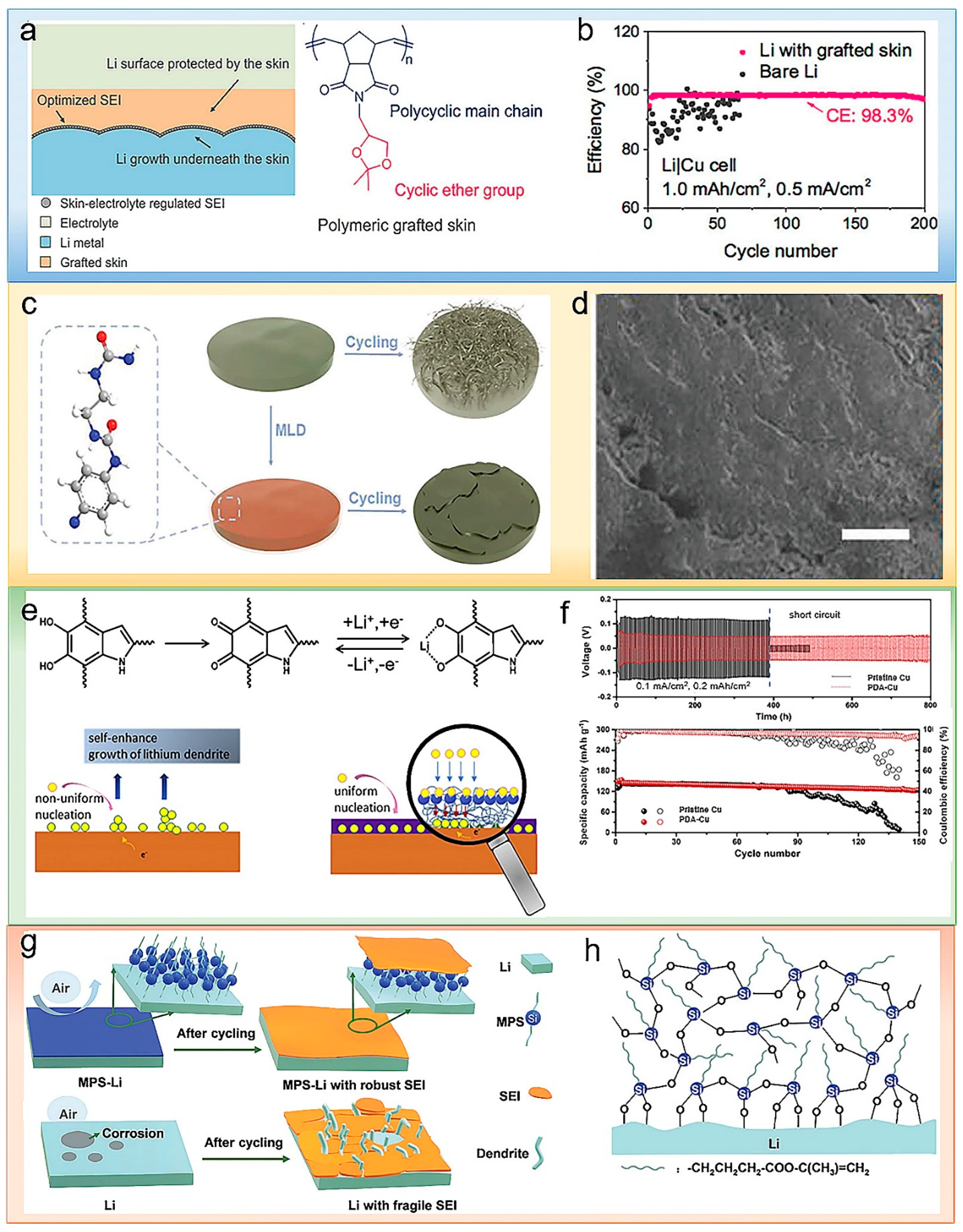 Polymers 14 03452 g003