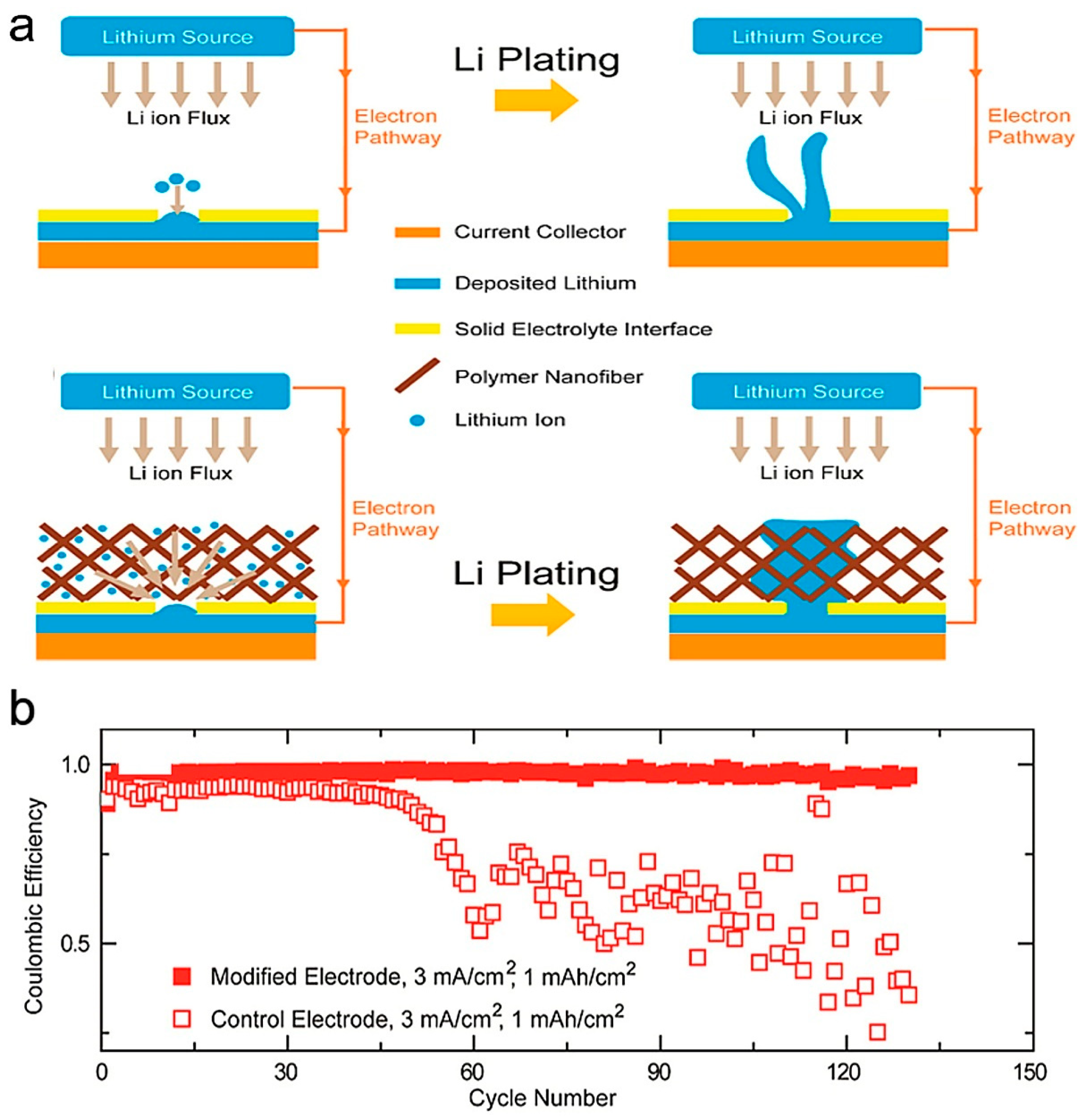 Polymers 14 03452 g006