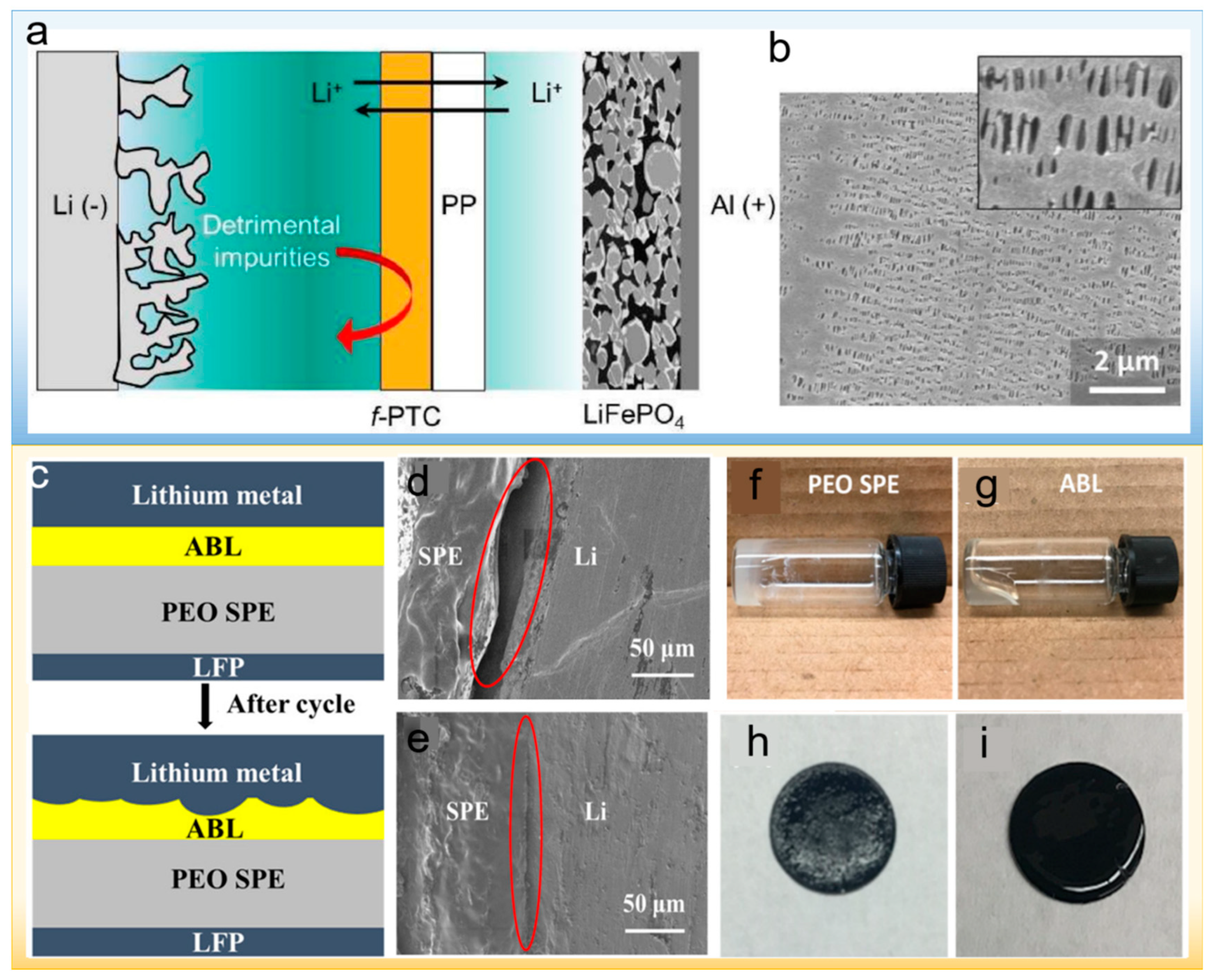 Polymers 14 03452 g007