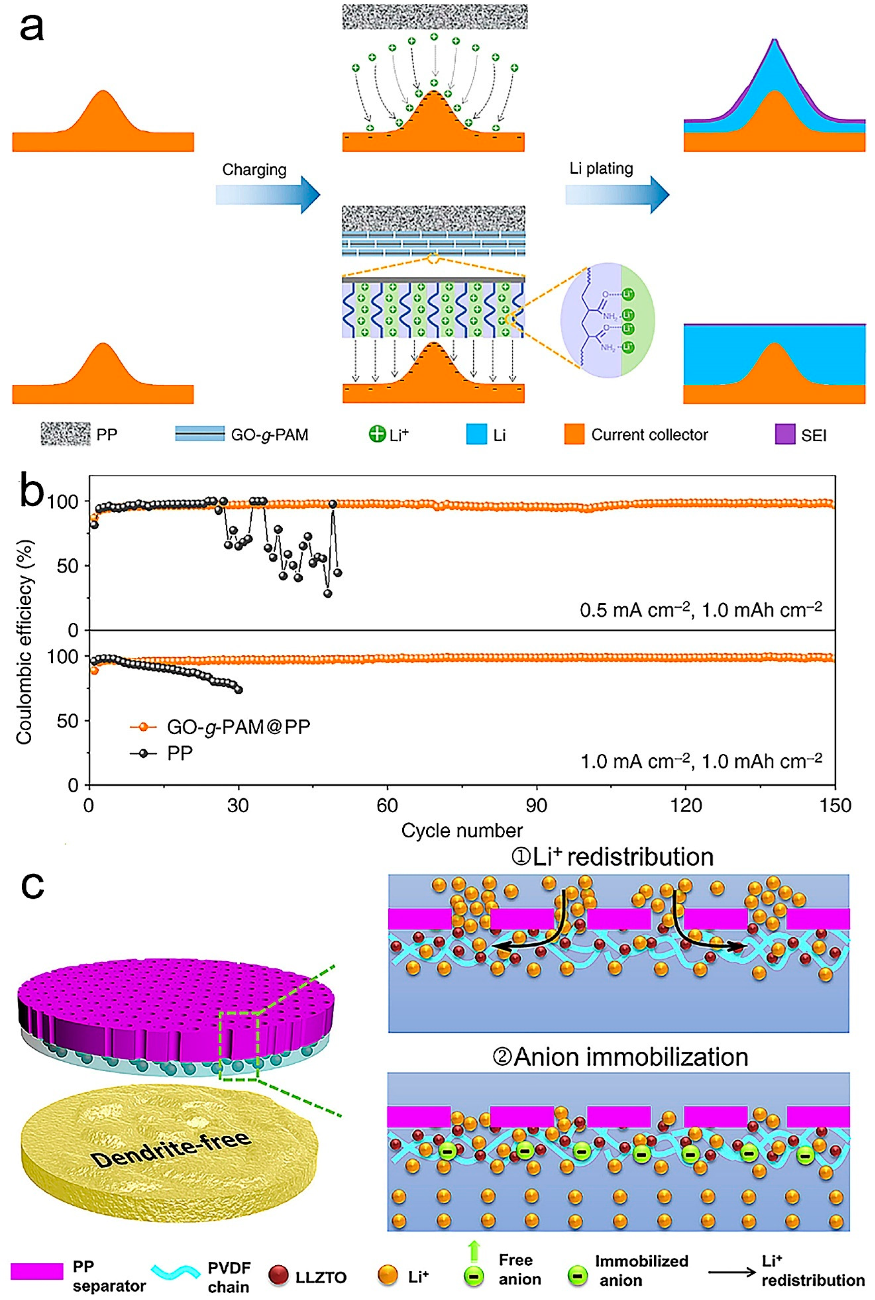 Polymers 14 03452 g008
